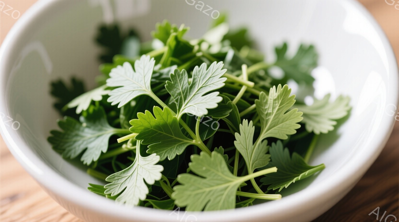 白いボウルに新鮮なパセリがたっぷり詰まっています。葉は鮮やかな緑色で、細かい切れ込みが入っており、みずみずしさが感じられます。背景は木製のテーブルで、自然な雰囲気を醸し出しています。