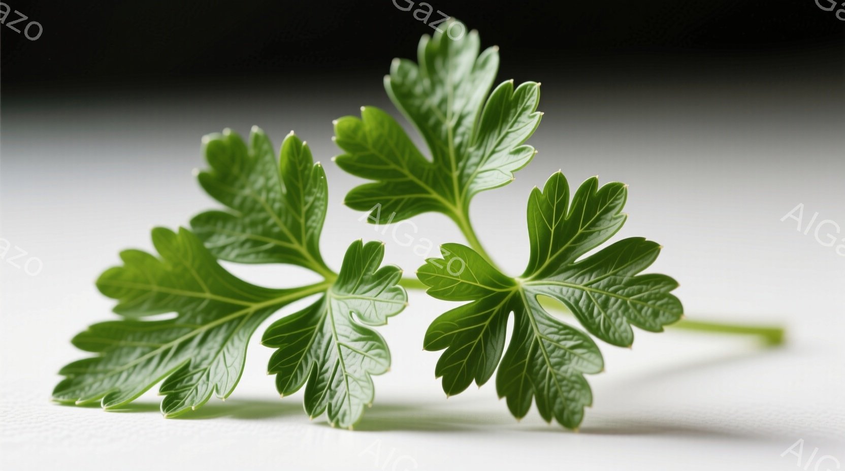 鮮やかな緑色の葉が画面いっぱいに広がっており、表面には朝露のような水滴が光っている。葉脈が細かく表現され、葉の質感と生命力を感じさせる。背景は暗く、葉の緑色がより際立って見える、静かで自然な雰囲気のク - AI生成フリー素材