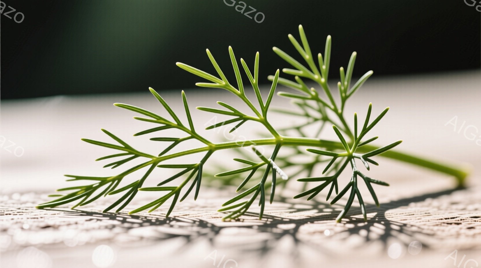 鮮やかな緑色のディルの葉が、粗い木製の表面に置かれています。葉は細かく分かれており、太陽光によって影がはっきりと映し出されています。背景はぼやけており、光のフレアがアクセントとして加わっています。