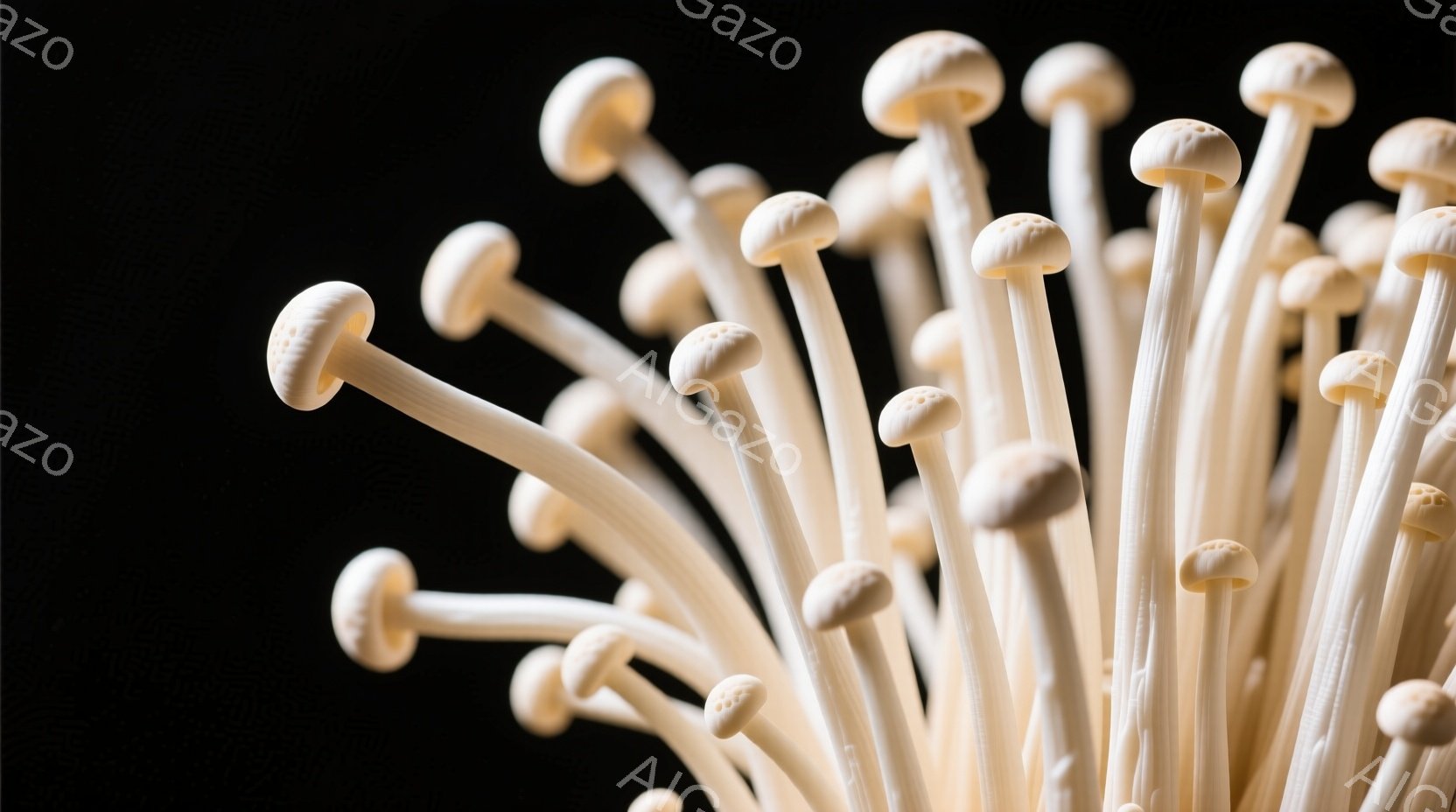 白い背景を背景に、たくさんの白いエノキタケが密集して写っています。それぞれのキノコは細長い茎を持ち、小さな丸い傘を持っています。全体的に、シンプルでクリーンな印象を与え、食材としての新鮮さを強調してい - AI生成フリー素材