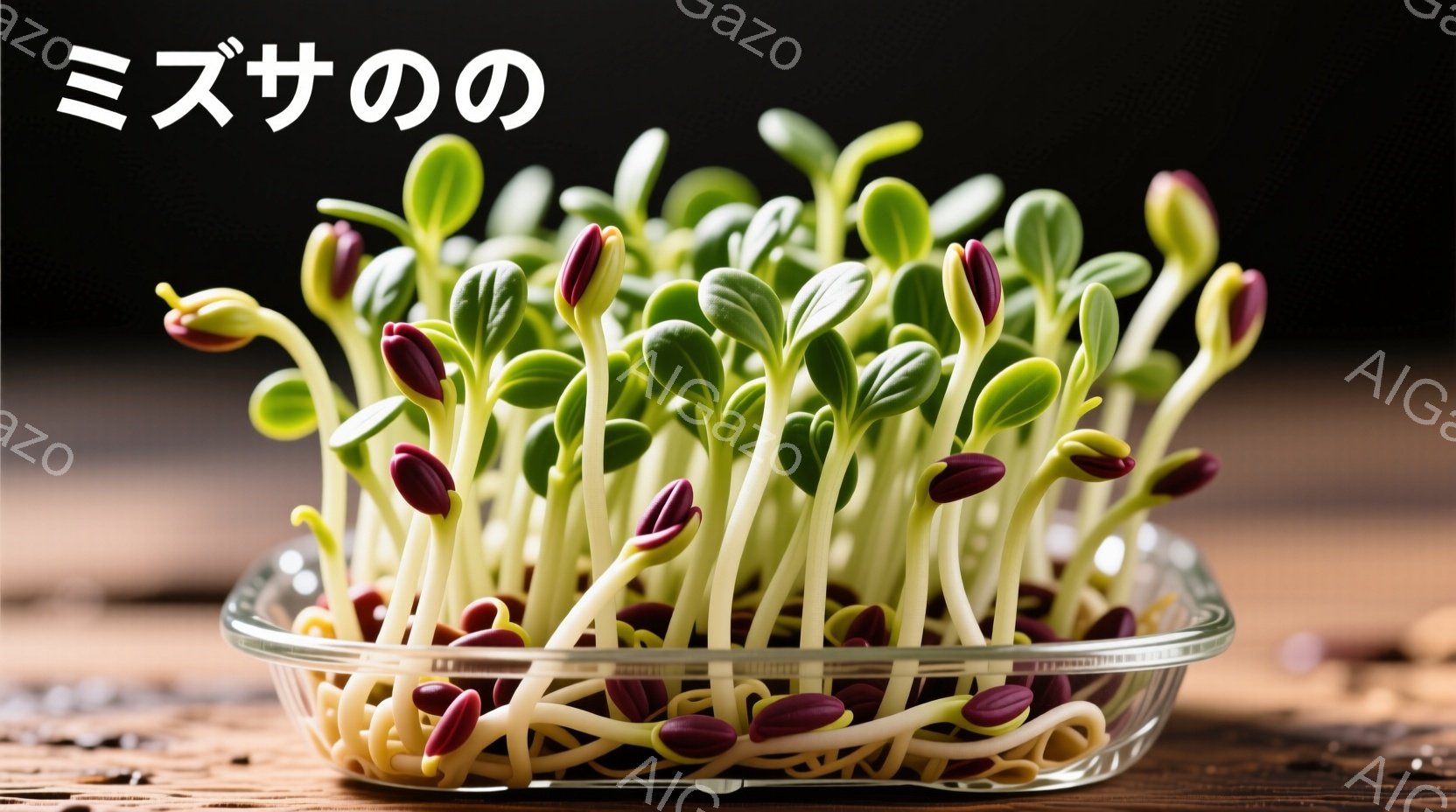 発芽した豆の苗がガラス製の容器に入っている様子を捉えています。豆の根は容器の底に広がり、紫色の豆と緑色の葉が対照的な色合いを見せています。背景は木製のテーブルで、自然な温かさを感じさせる穏やかな雰囲気です。