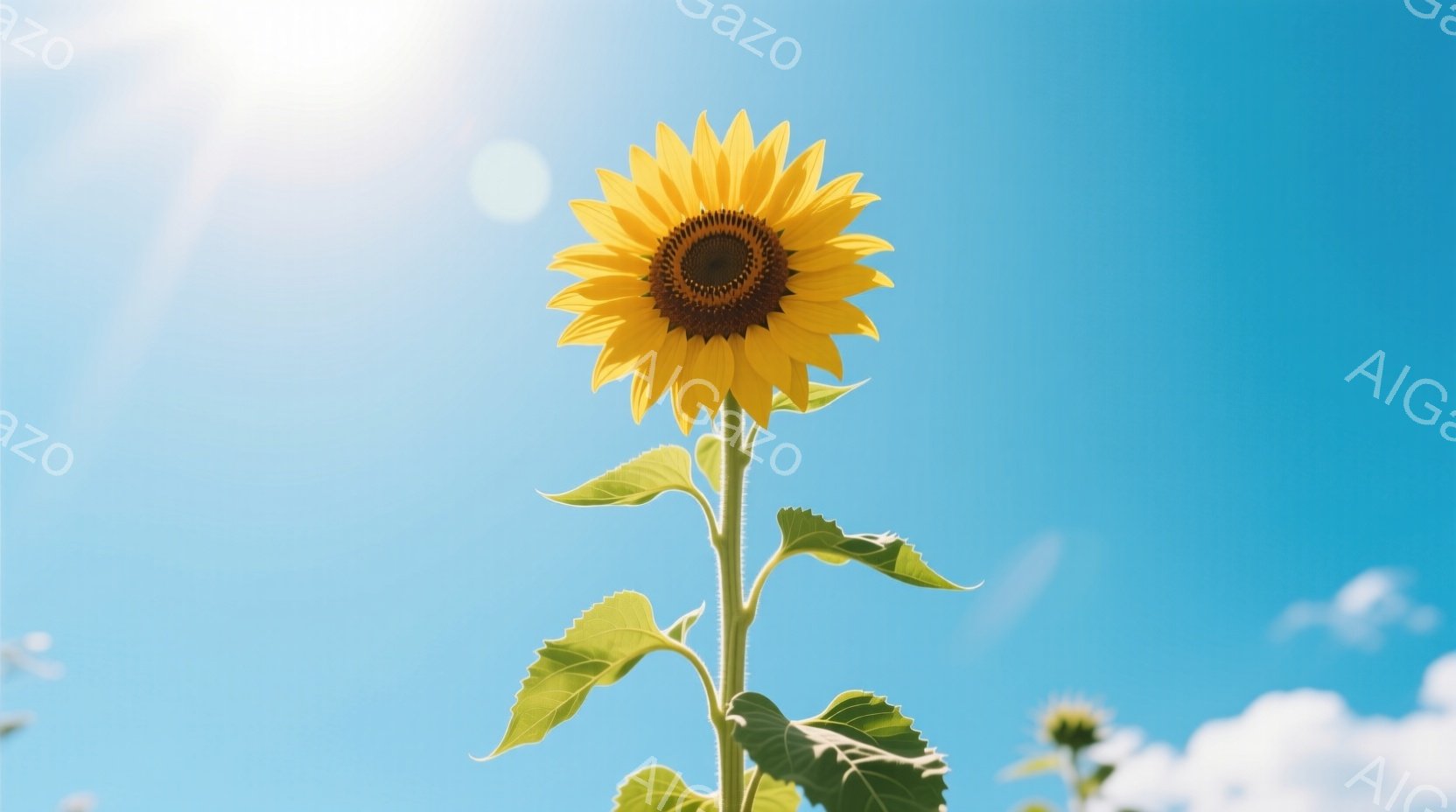 まっすぐ伸びたヒマワリが、鮮やかな青空を背景に咲き誇っている。緑色の茎と葉がヒマワリを支え、太陽の光を浴びて生き生きとしている。背景にはぼんやりと他のヒマワリや白い雲が見え、夏の晴れた日を思わせる明るい雰囲気である。