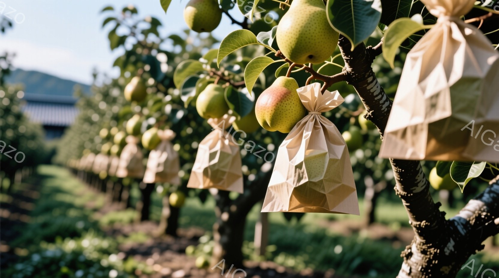 梨の木が並び、それぞれの梨が茶色の紙袋で覆われている様子が写っている。背景には緑豊かな庭園と、ぼんやりと見える建物があり、晴天の下、穏やかで平和な雰囲気を醸し出している。梨の表面に光が当たり、瑞々しさを強調している。