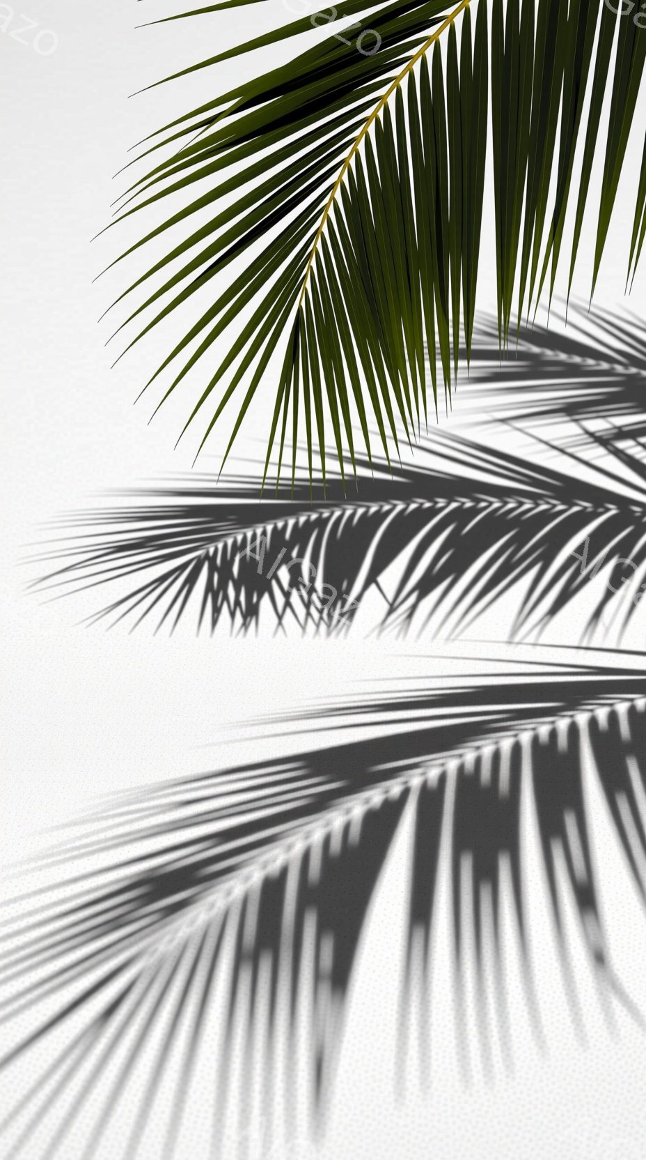光と影が印象的な画像です。ヤシの葉が強い日差しによって白い壁に影を落としており、リゾート地のような雰囲気を醸し出しています。葉の鮮やかな緑と、影のコントラストが、静かで穏やかな雰囲気を強調しています。
