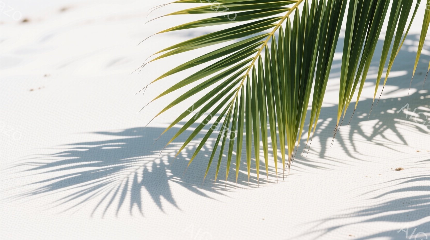 白い砂浜の上に、ヤシの葉の影が映っています。強い日差しで葉の影がくっきりと砂に落ち、葉脈の繊細な模様が再現されています。全体的に明るく、夏らしいのどかな雰囲気が漂っています。