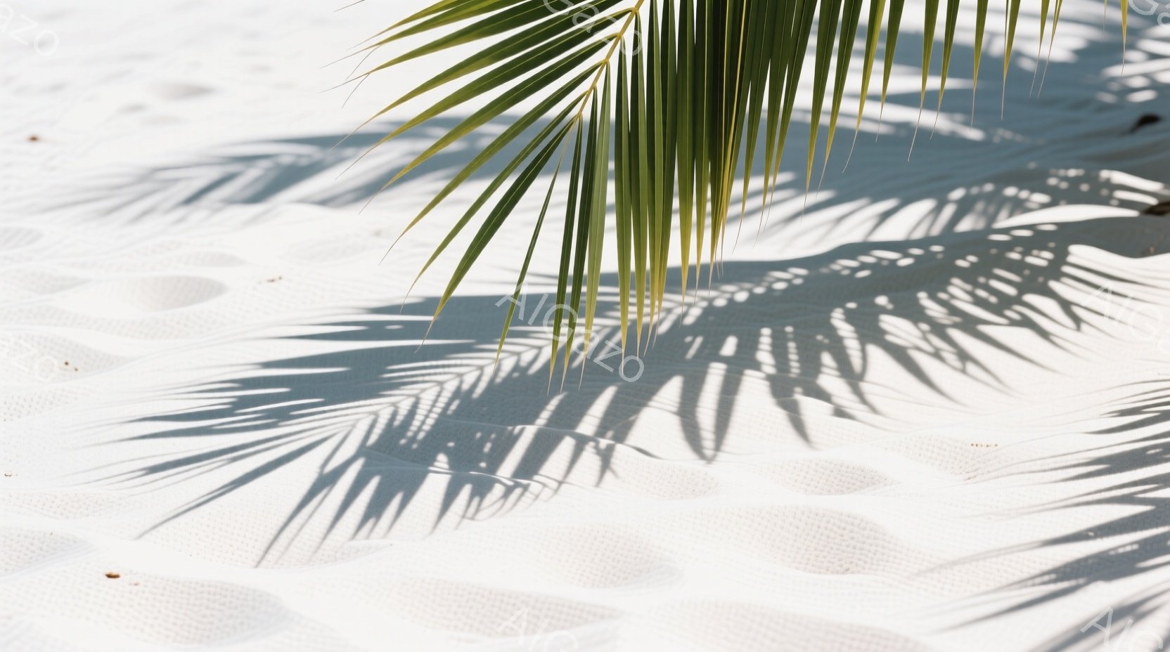 白砂のビーチに、ヤシの葉の影が長く伸びています。影は砂のテクスチャに美しい模様を作り出し、強い日差しと穏やかな海辺の雰囲気を伝えています。全体的に、リラックスした夏の日の静けさと安らぎを感じさせる光景です。