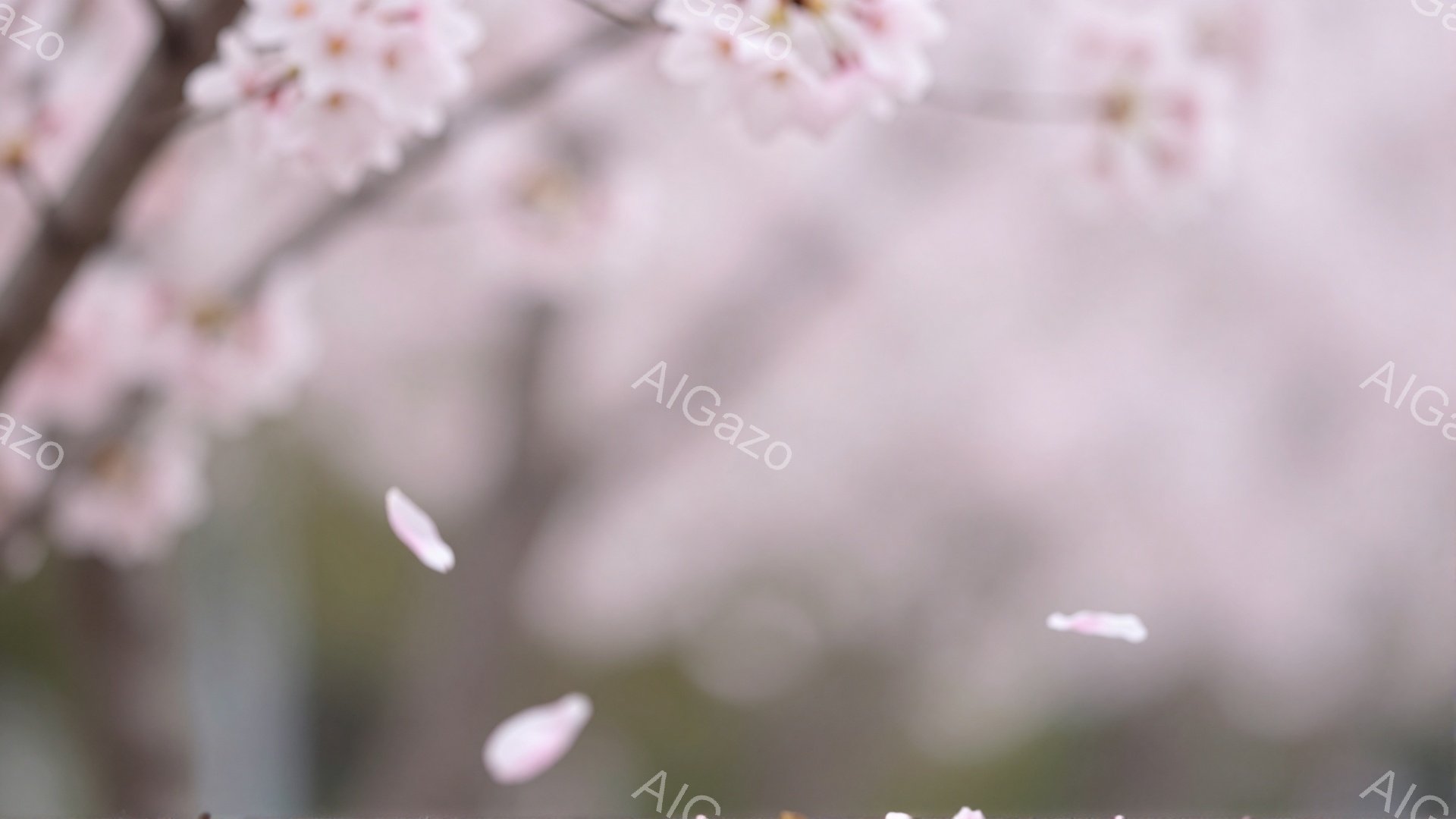 桜の花びらが舞い散る、ぼやけた春の風景です。背景には、淡いピンク色の桜並木が広がり、春の暖かさと儚さを表現しています。全体的に柔らかな光に包まれ、穏やかで夢幻的な雰囲気を醸し出しています。