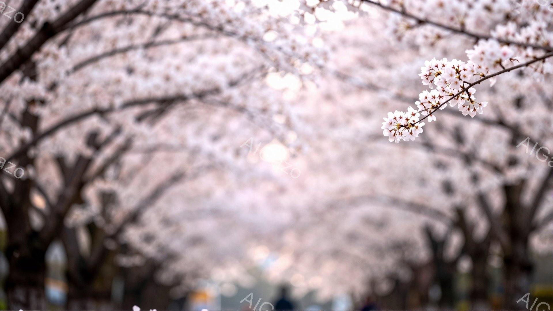桜並木が続く道を、ぼんやりとした人影が歩いている。満開の桜の花びらが、まるでトンネルのように空を覆い、柔らかい光が降り注いでいる。春の暖かさと、幻想的な雰囲気が漂う美しい風景だ。
