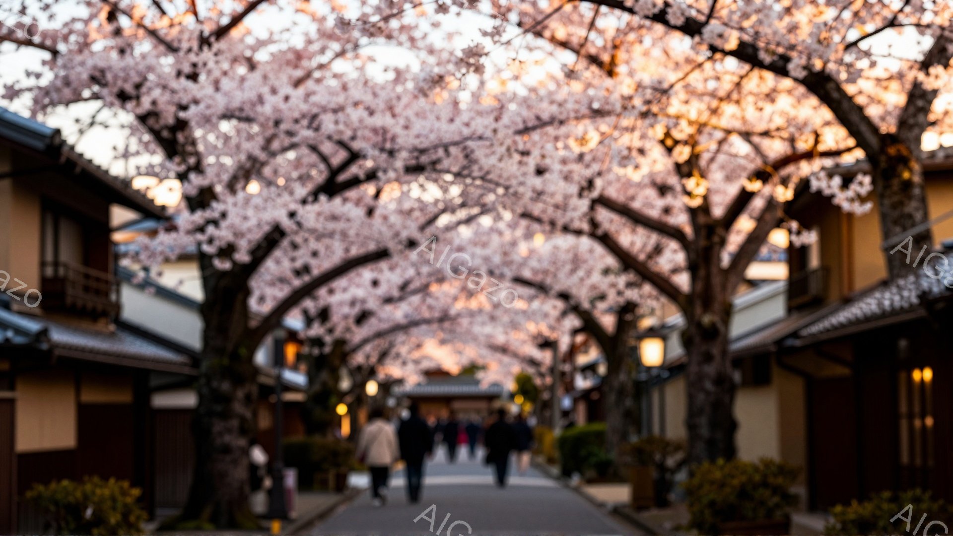 桜並木が続く石畳の道を行く人々の姿が捉えられています。人々はカジュアルな服装で、後ろ姿のみのため表情は伺えません。伝統的な建物が両側に立ち並び、薄明かりの桜並木が春の穏やかな雰囲気を醸し出しています。