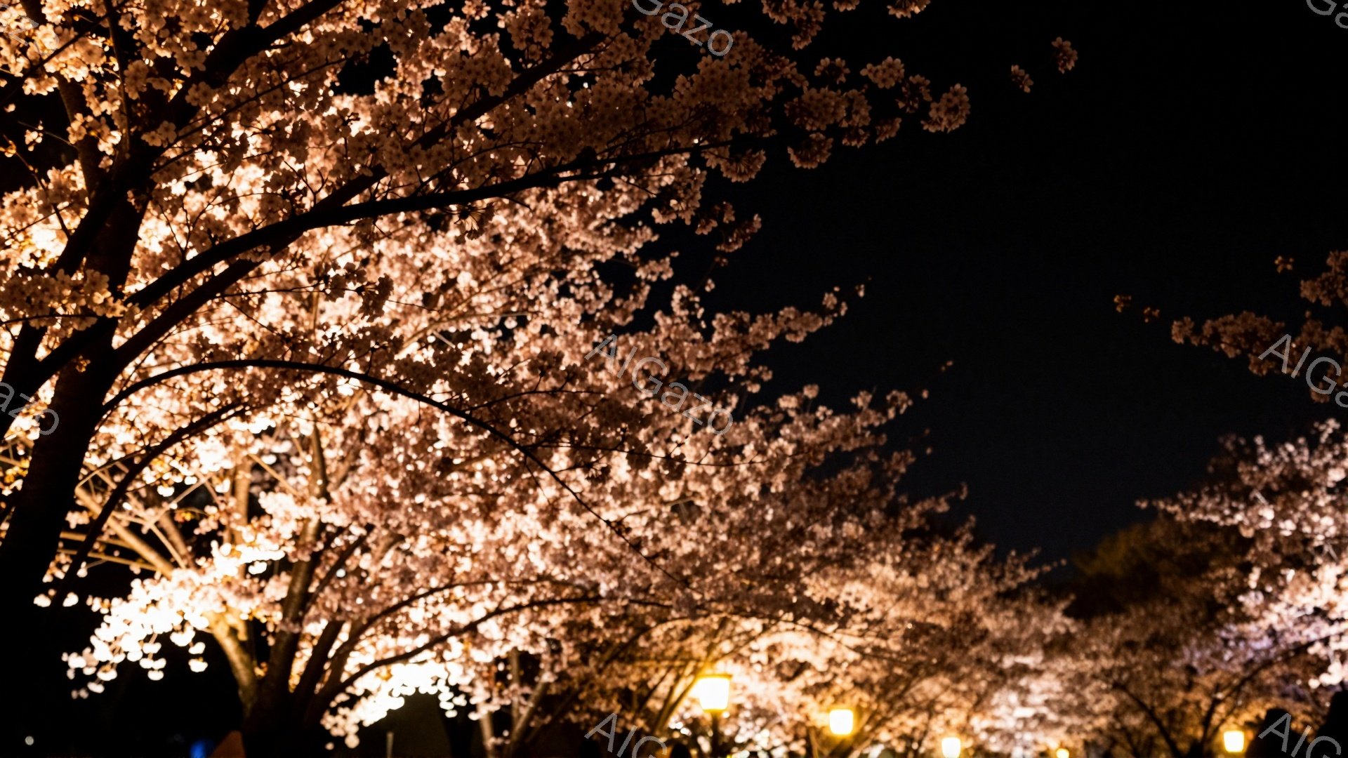 夜空を背景に、桜並木がライトアップされ、幻想的な雰囲気を醸し出しています。密集した桜の花びらが枝を覆い、まるでトンネルのように光を放っています。遠くには街灯のオレンジ色の光が見え、夜の静けさと春の美しさが共存する様子が伝わってきます。