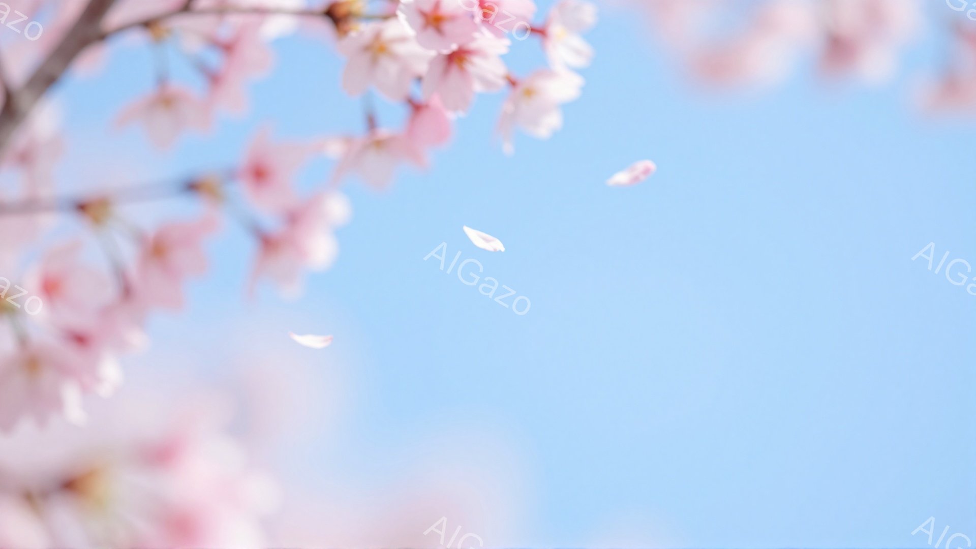 空は澄んだ青色で、桜の花びらが数枚、風に舞っている様子が捉えられています。 画面の左側には、ピンク色の桜の花が咲き乱れ、ぼんやりと焦点が合っているが、春の暖かさと優雅さを感じさせます。 全体的に穏やかで、幻想的な雰囲気が漂っています。