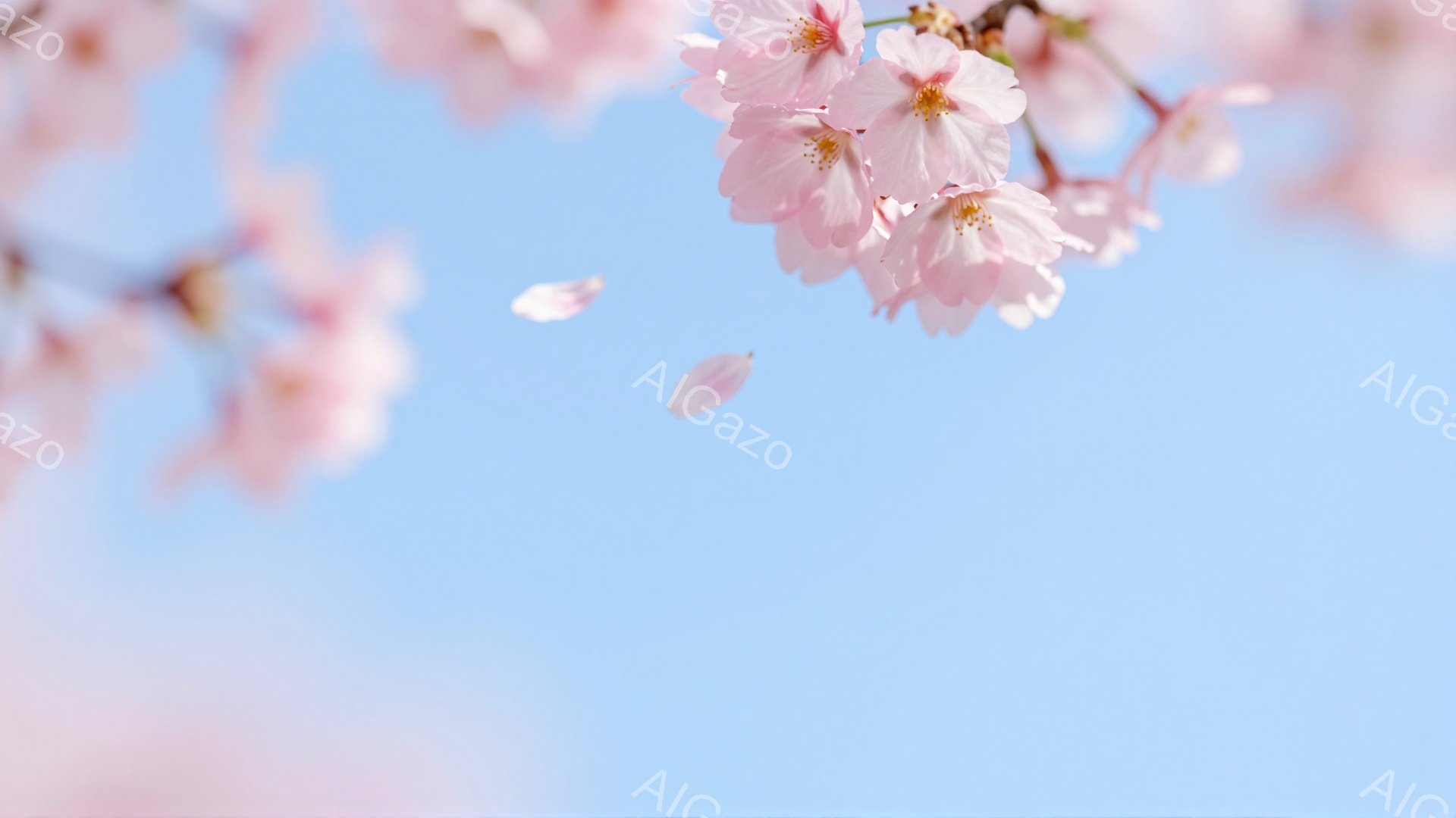 淡いブルーの空を背景に、桜の花びらが舞い散る様子が捉えられています。 桜の花は、白から淡いピンク色で、満開に近い状態で、春の暖かさと儚さを感じさせます。 光が柔らかく差し込み、穏やかで優しい雰囲気が漂っています。