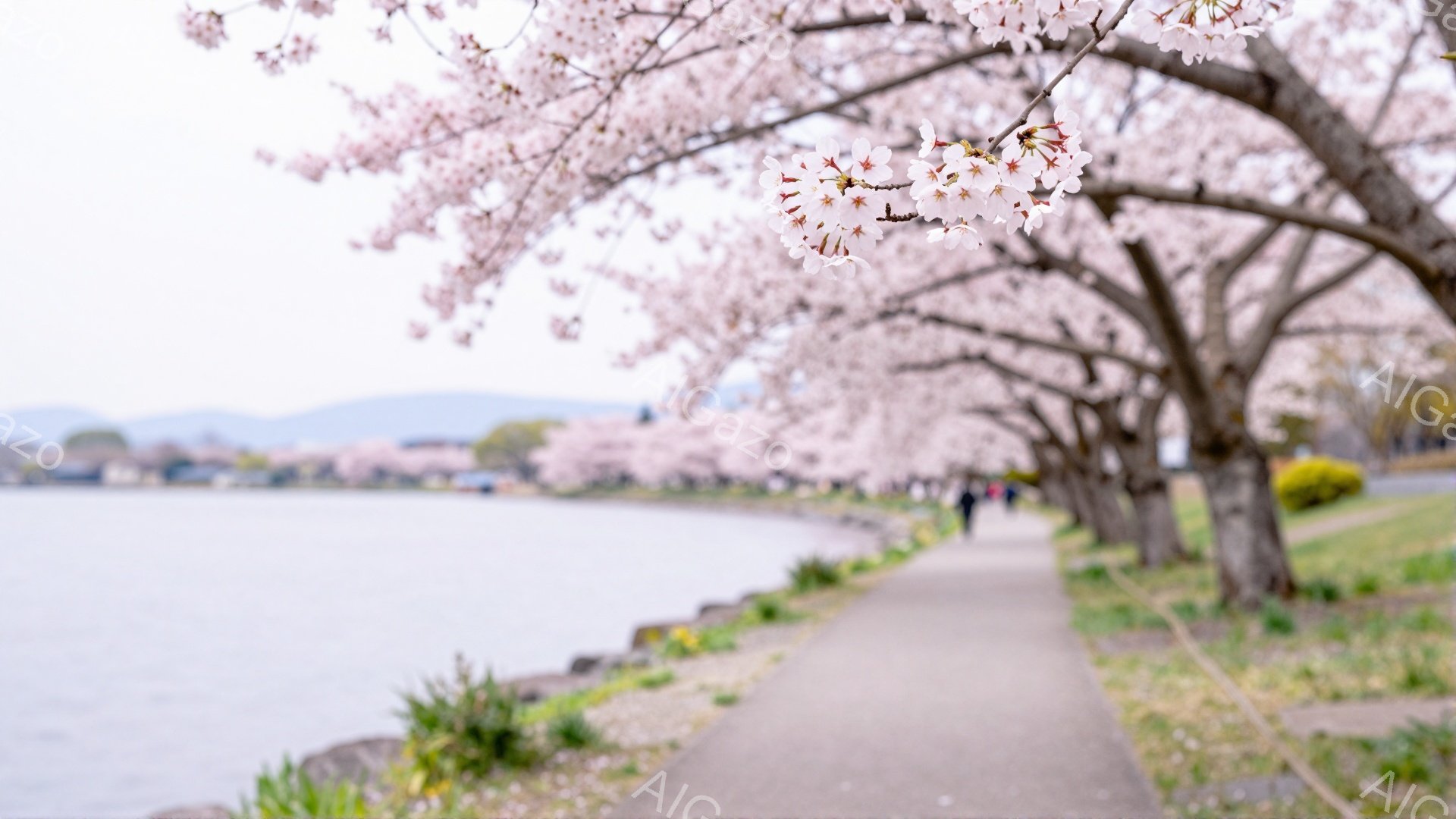 桜並木が続く遊歩道を人が散歩している様子が描かれている。桜の花びらが咲き誇り、遊歩道の横には湖が広がり、遠くには山々が見える穏やかな春の風景だ。人々はカジュアルな服装で、リラックスした様子で散歩を楽し - AI生成フリー素材