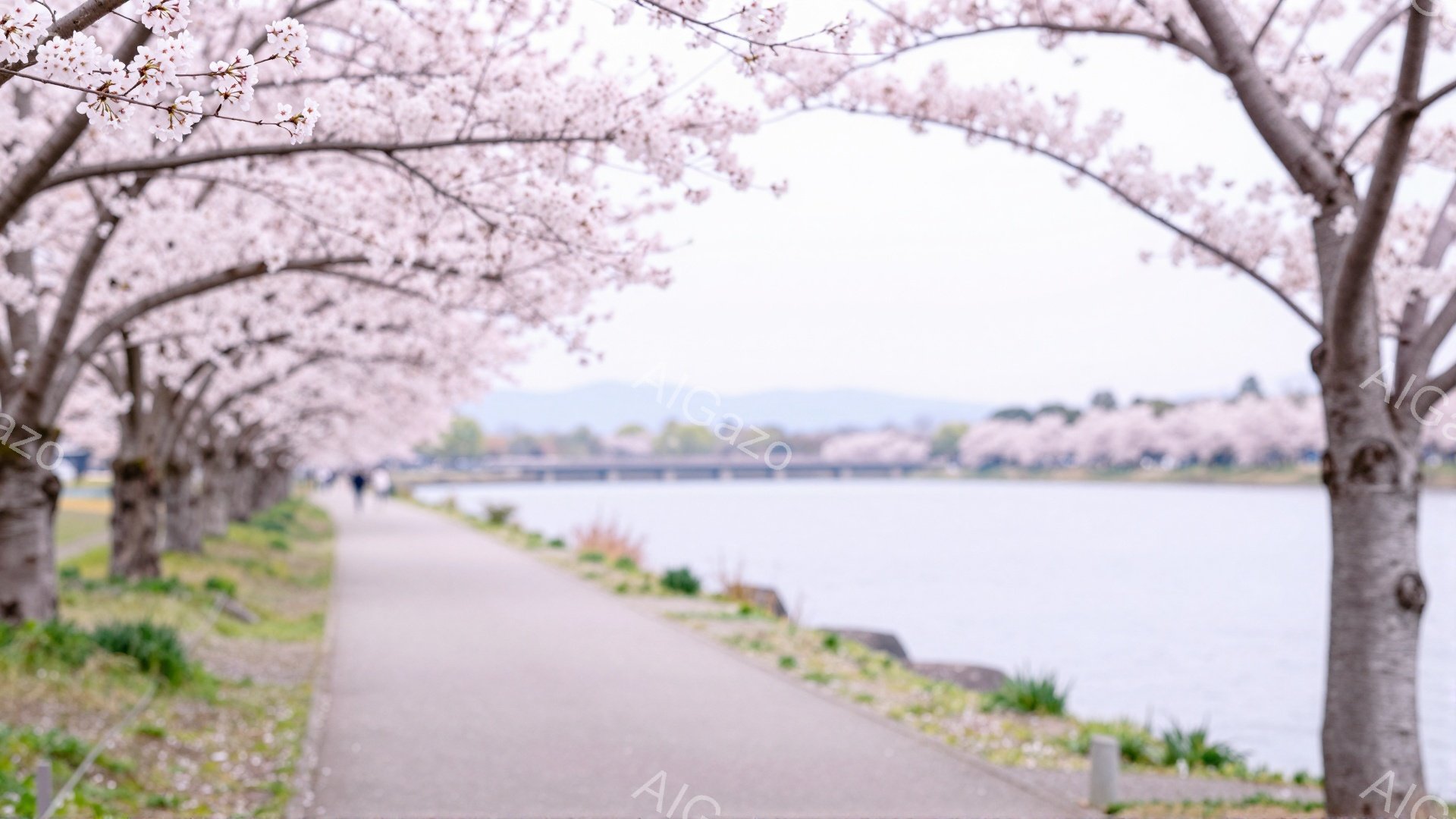 桜並木が続く遊歩道が、水面に向かって延びている風景です。遠くには山並みがぼんやりと見え、穏やかな水面が広がっています。春の暖かな日差しの中で、散歩を楽しむ人々が数名見え、平和で心地よい雰囲気が漂っています。