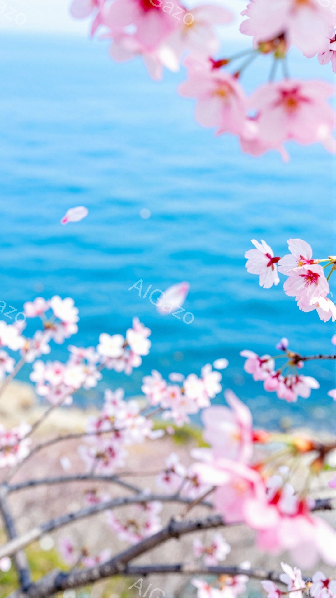 桜の花びらが舞い散る、春の風景です。背景には鮮やかな青色の海が広がり、春の暖かさと海の清涼感が感じられます。手前に咲き誇る桜の花が、春の訪れを告げる美しい光景を作り出しています。