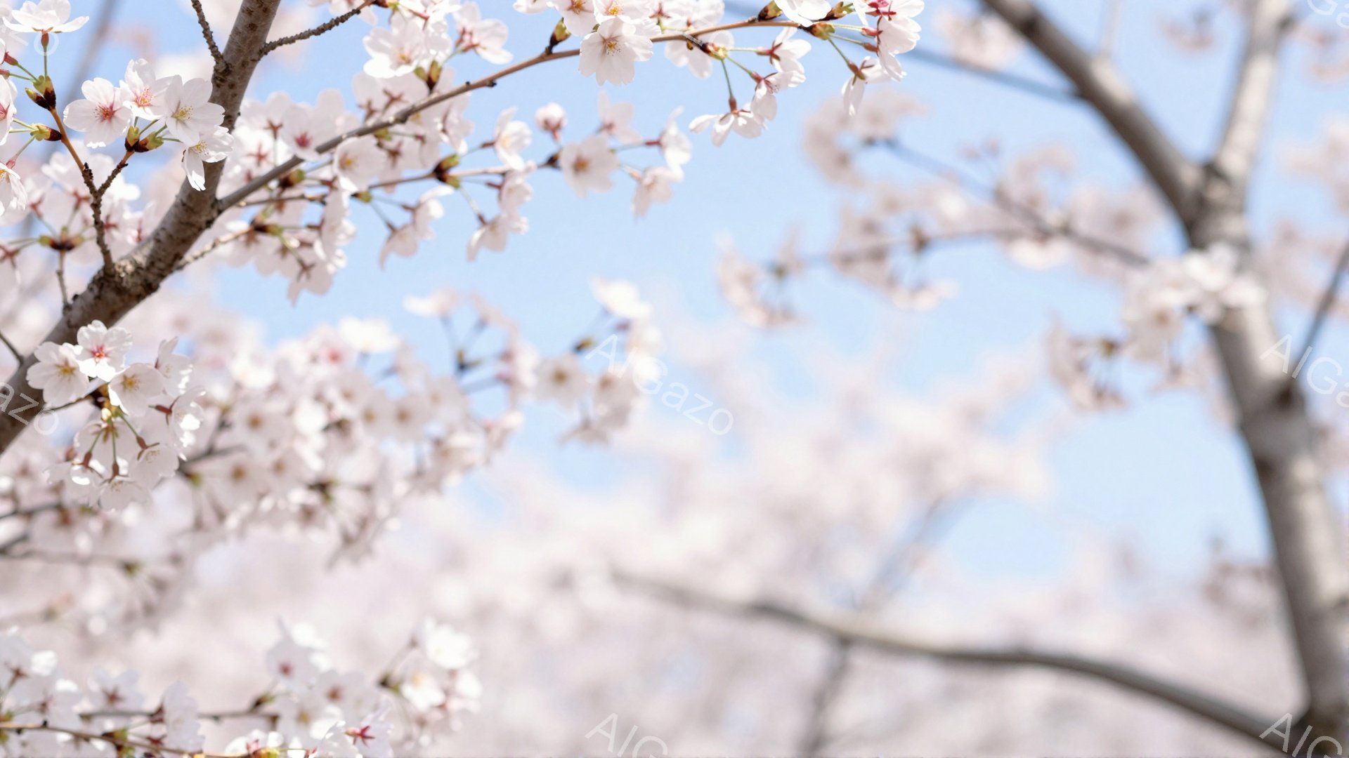 桜の花が咲き誇る木々の枝が、青空を背景に画面いっぱいに広がっている。柔らかいピンク色の花びらが密集し、春の暖かさと生命力を感じさせる美しい光景だ。背景にはぼんやりと他の木々が見え、全体的に穏やかで幻想 - AI生成フリー素材