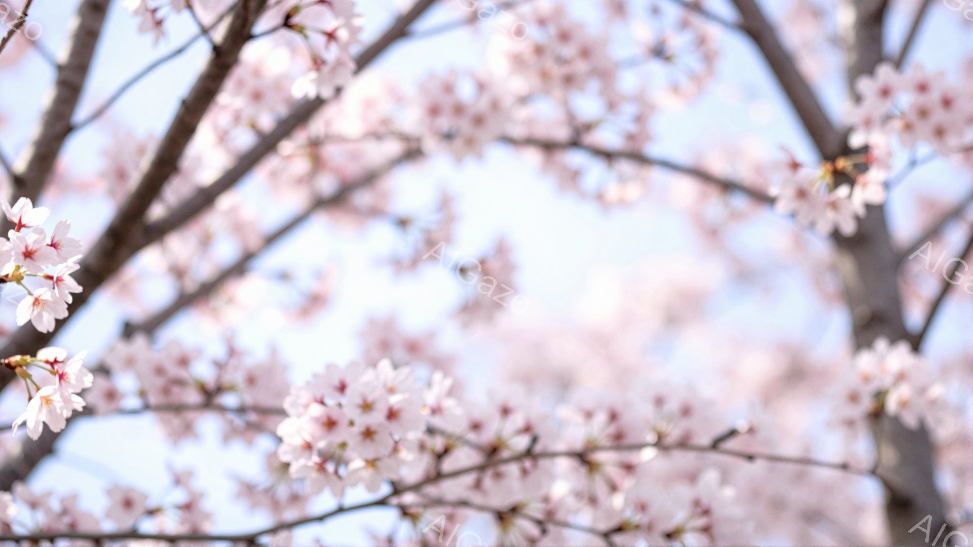 桜の花が咲き乱れ、空を背景に淡いピンク色が広がっている。枝が画面いっぱいに広がり、春の暖かさと穏やかな雰囲気を演出している。背景はぼやけており、桜の美しさが際立っている。 - AI生成フリー素材