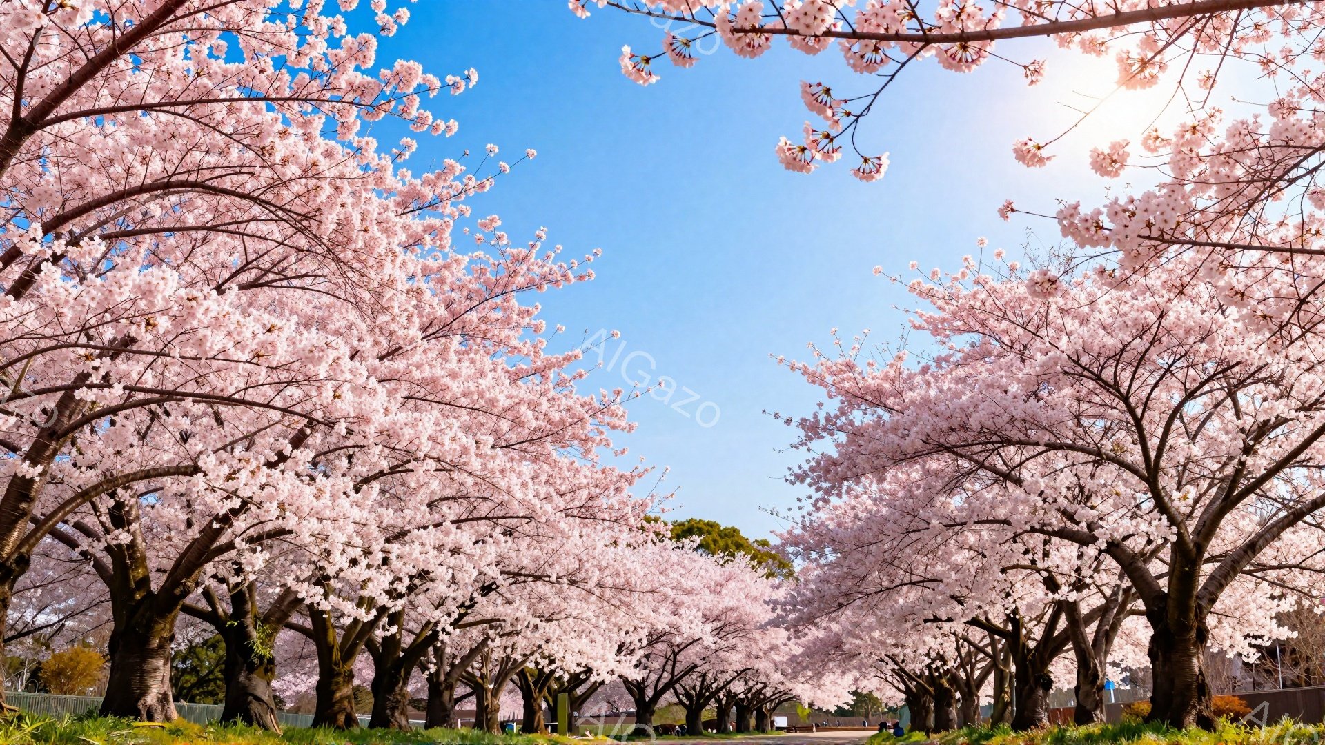 桜並木が続く公園の風景で、満開の桜が空を覆い、春の訪れを告げている。緑の芝生と並木道が広がり、遠景には建物が見える穏やかな晴天の日の光景である。桜のピンク色の花びらが柔らかく光を浴びて、暖かく優しい雰 - AI生成フリー素材