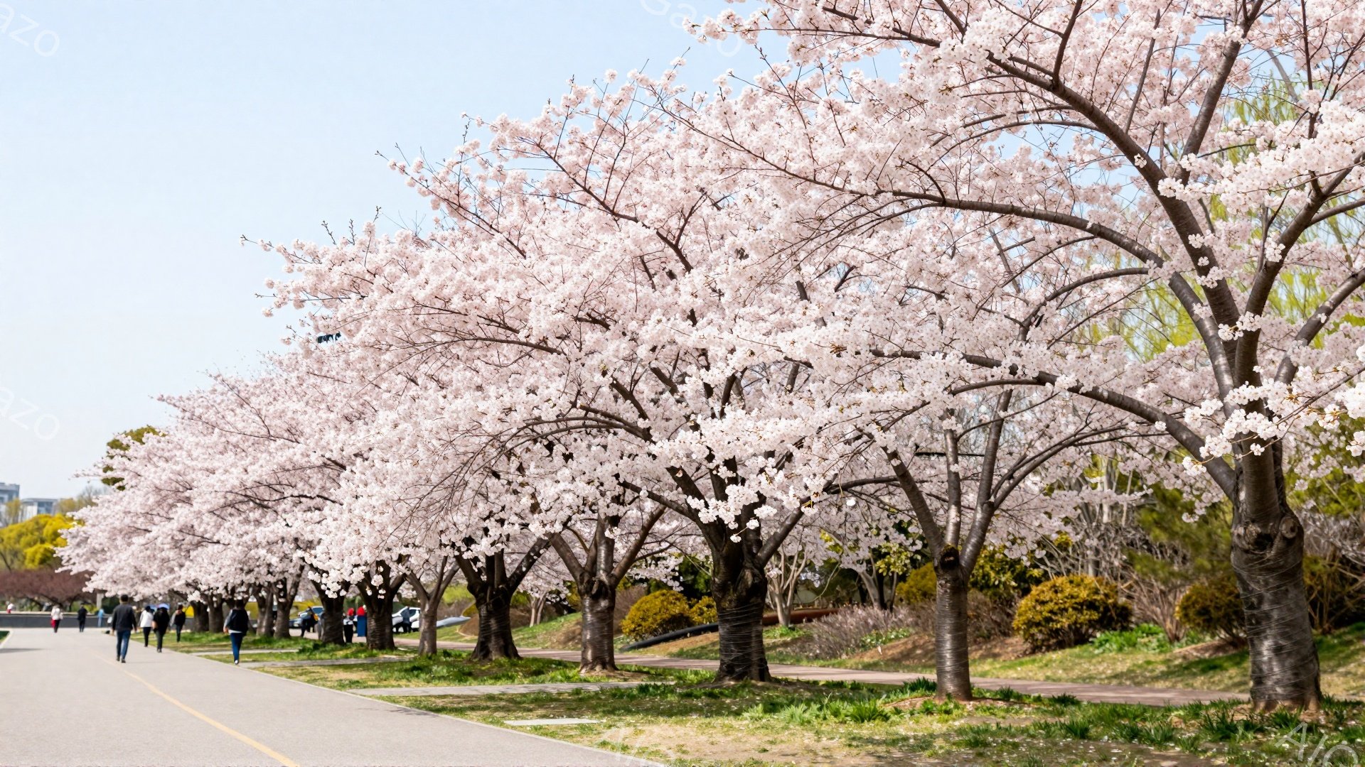 桜並木が続く遊歩道には、人々が散歩を楽しんでいる。人々はそれぞれカジュアルな服装で、春の穏やかな日差しの中でリラックスした様子だ。背景には緑の芝生と遠くに見える建物があり、春の暖かさと穏やかな雰囲気が - AI生成フリー素材