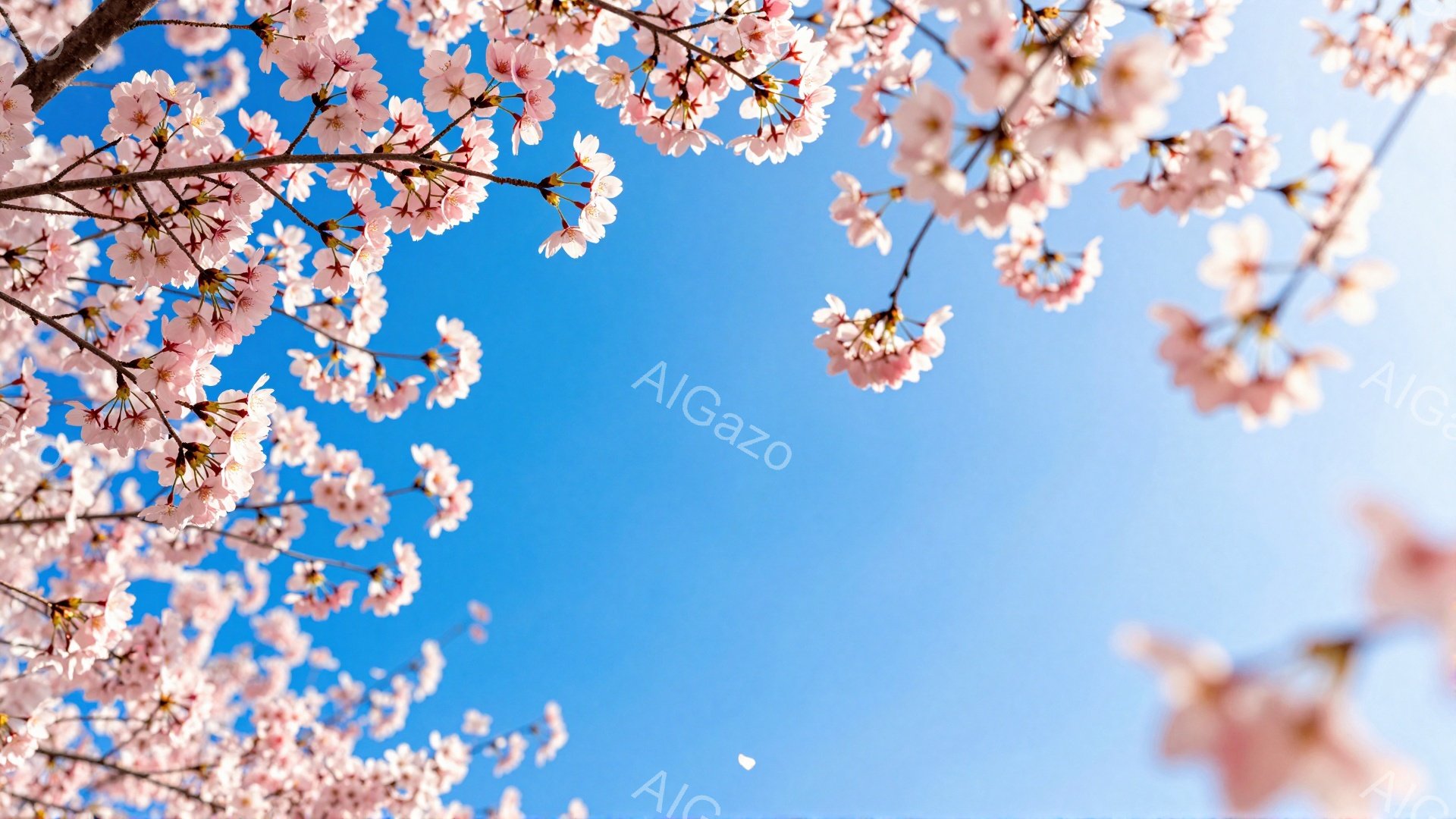 鮮やかな青空を背景に、桜の花びらが咲き誇る様子が捉えられています。薄桃色の花びらは、まるで空を覆うように枝から咲き乱れ、春の暖かさと生命力を感じさせます。画面全体が明るく、穏やかな春の日の雰囲気を漂わ - AI生成フリー素材