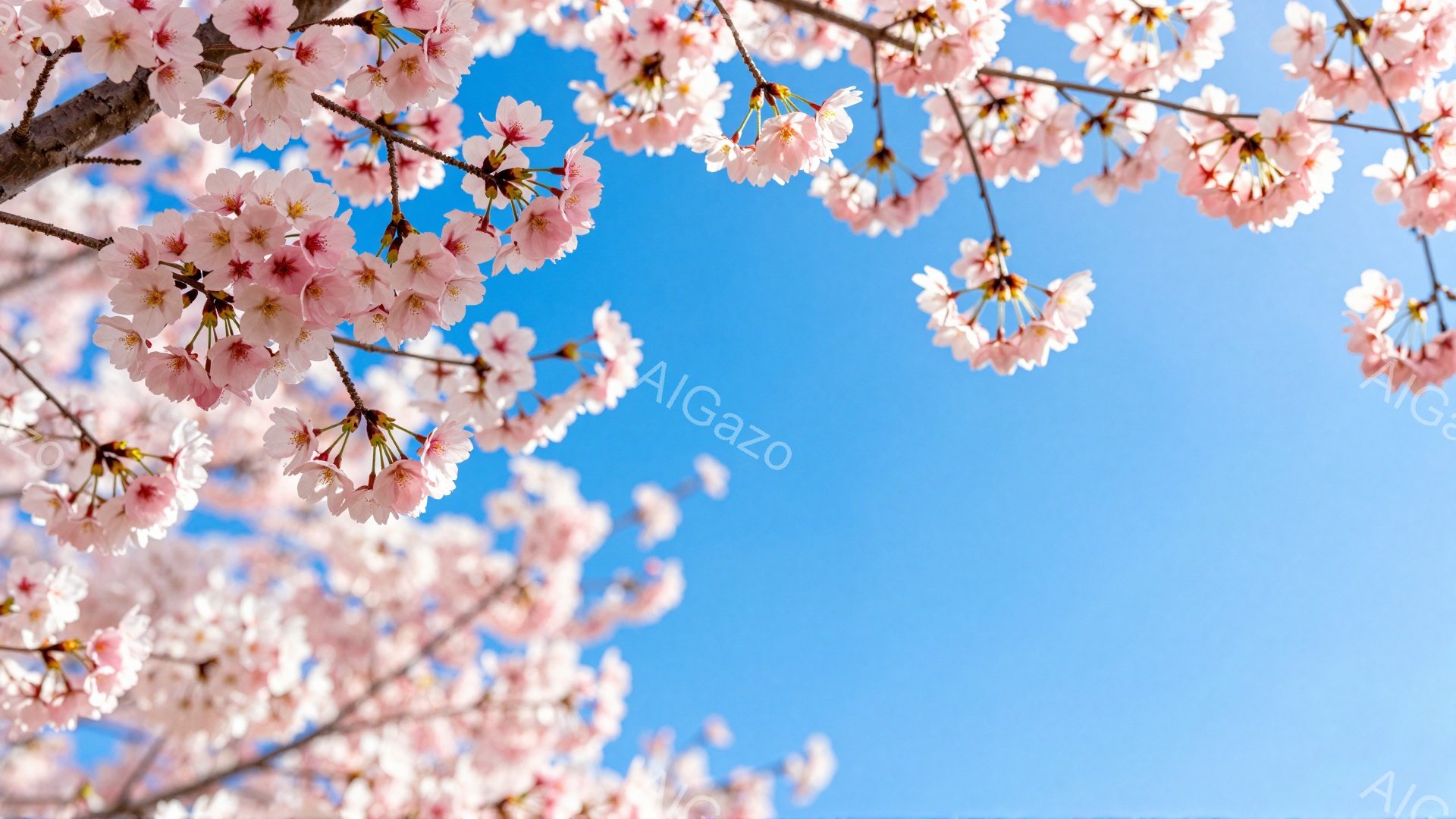 桜の花びらが空いっぱいに咲き誇り、まるで春のトンネルのようです。鮮やかなピンク色の花びらが青空を背景に、とても美しく、柔らかい印象を与えます。光が花びらを照らし、暖かく穏やかな雰囲気を醸し出しています - AI生成フリー素材