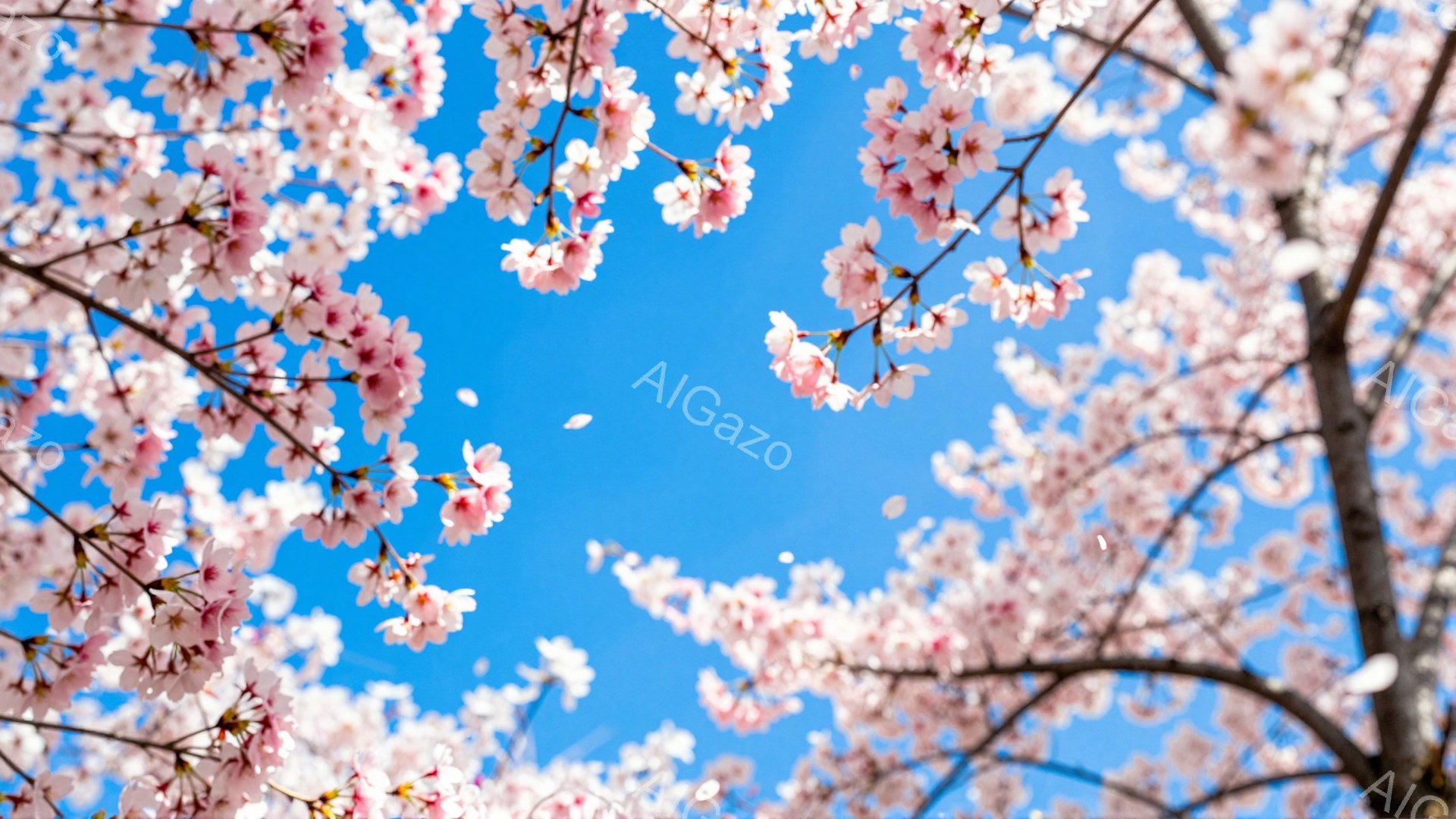 満開の桜の花びらが、鮮やかな青空を背景に咲き乱れている様子が捉えられています。枝が画面の上部から左右に広がり、まるでトンネルのように花びらが空を覆っています。春の暖かく穏やかな、そして少し幻想的な雰囲気が漂います。