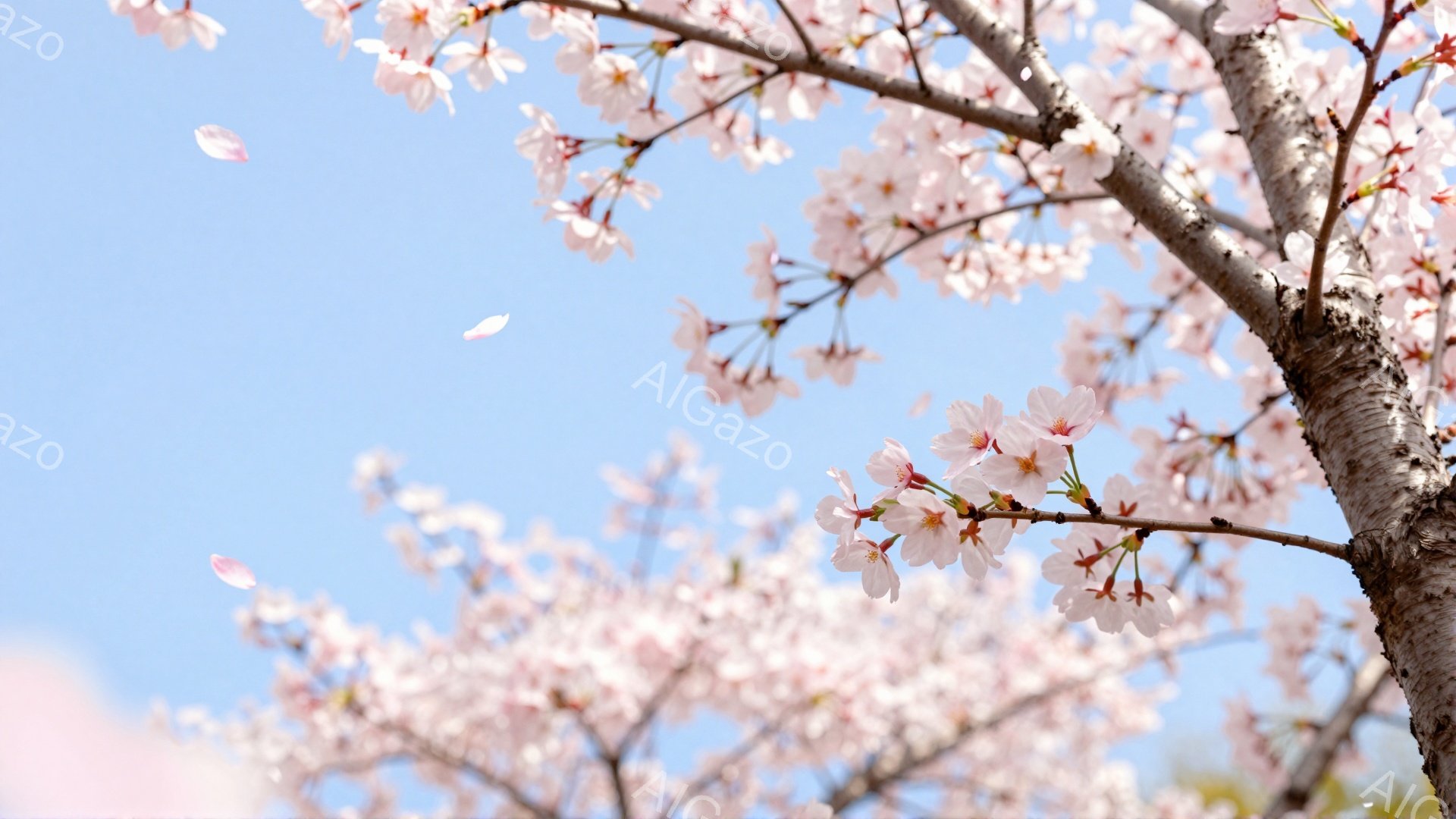桜の枝が画面いっぱいに広がり、淡いピンク色の花が咲き誇っている。青空を背景に、舞い散る花びらが春の暖かさと儚さを表現している。枝の質感と花びらの繊細さが、穏やかで美しい雰囲気を醸し出している。 - AI生成フリー素材