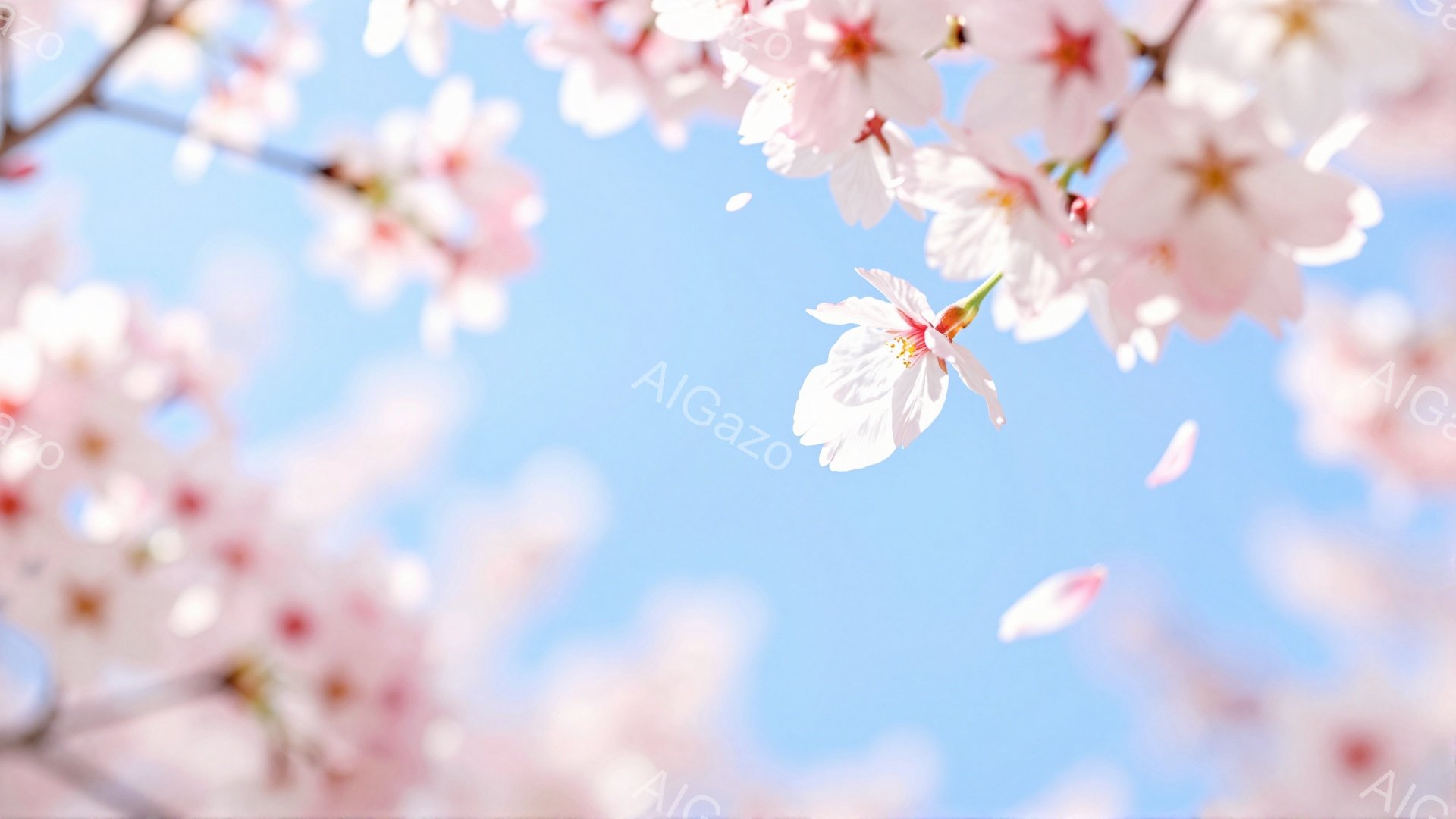 空は明るい水色で、ピンク色の桜の花びらが舞い散っている様子が捉えられています。桜の花はぼやけており、春の暖かさと儚さを感じさせる雰囲気です。全体的に柔らかな光が差し込み、春の訪れを告げる美しい光景が広がっています。
