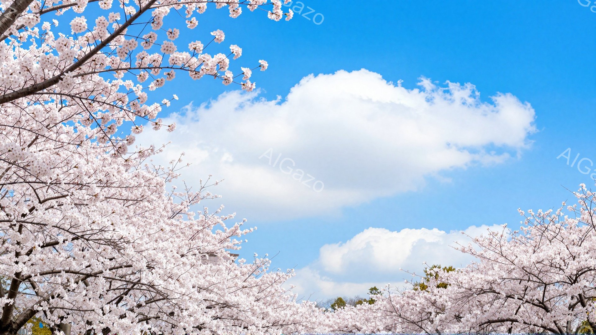 満開の桜が画面を覆い、薄いピンク色の花びらが春の訪れを告げている。青空に浮かぶ白い雲が、桜の淡い色合いとコントラストをなし、穏やかで希望に満ちた雰囲気を醸し出している。背景には緑の若葉がわずかに見え、 - AI生成フリー素材
