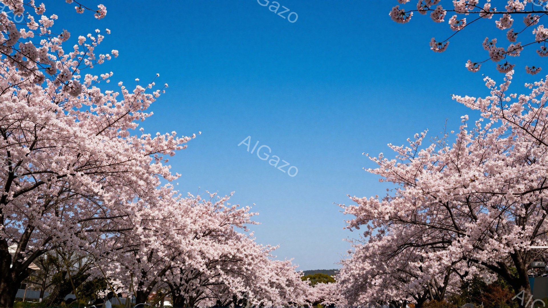 桜並木が続く道が写っており、満開の桜の花が空を覆うように咲き誇っています。青空を背景に、淡いピンク色の桜が春の暖かさを感じさせ、心地よい風が吹いているかのような穏やかな雰囲気が漂っています。遠景には建 - AI生成フリー素材