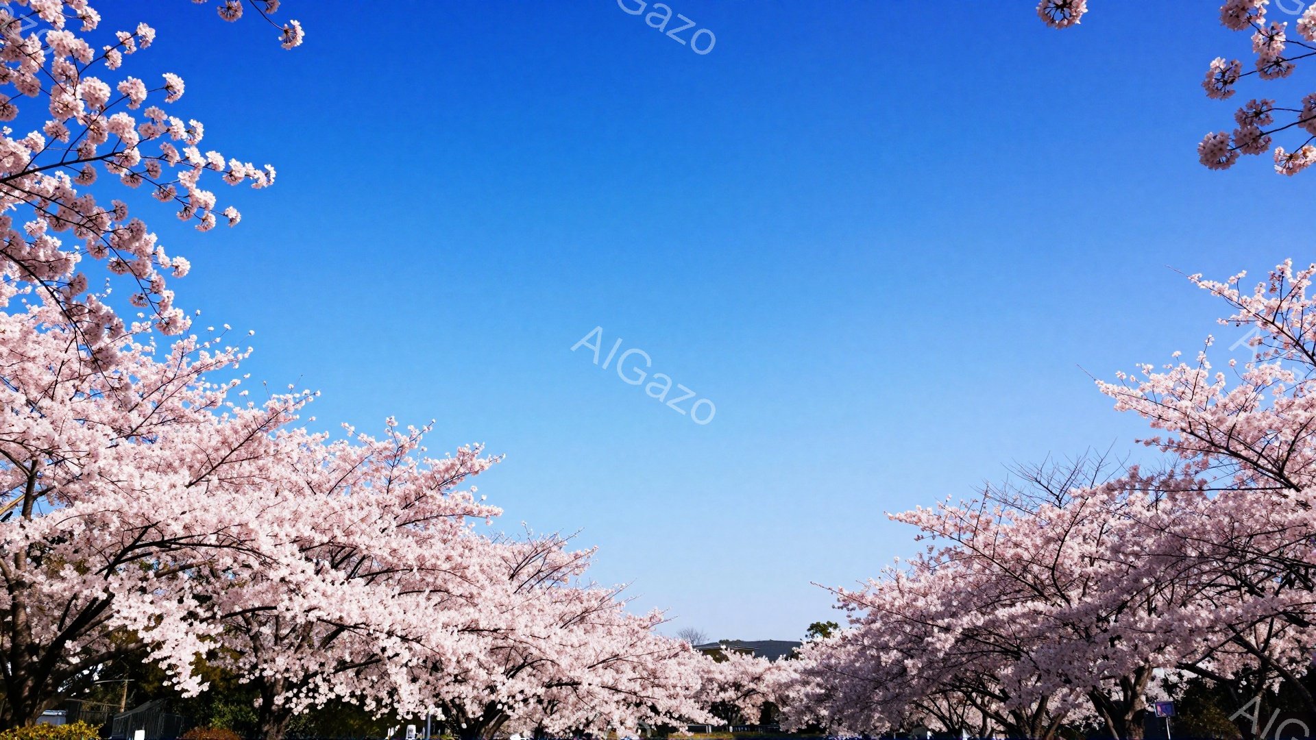 桜並木が続く道を行く人々が見える風景です。空は晴れ渡り、桜の花びらが咲き誇り、春の暖かさを感じさせます。遠くには建物や緑が見え、穏やかで美しい雰囲気が漂っています。 - AI生成フリー素材
