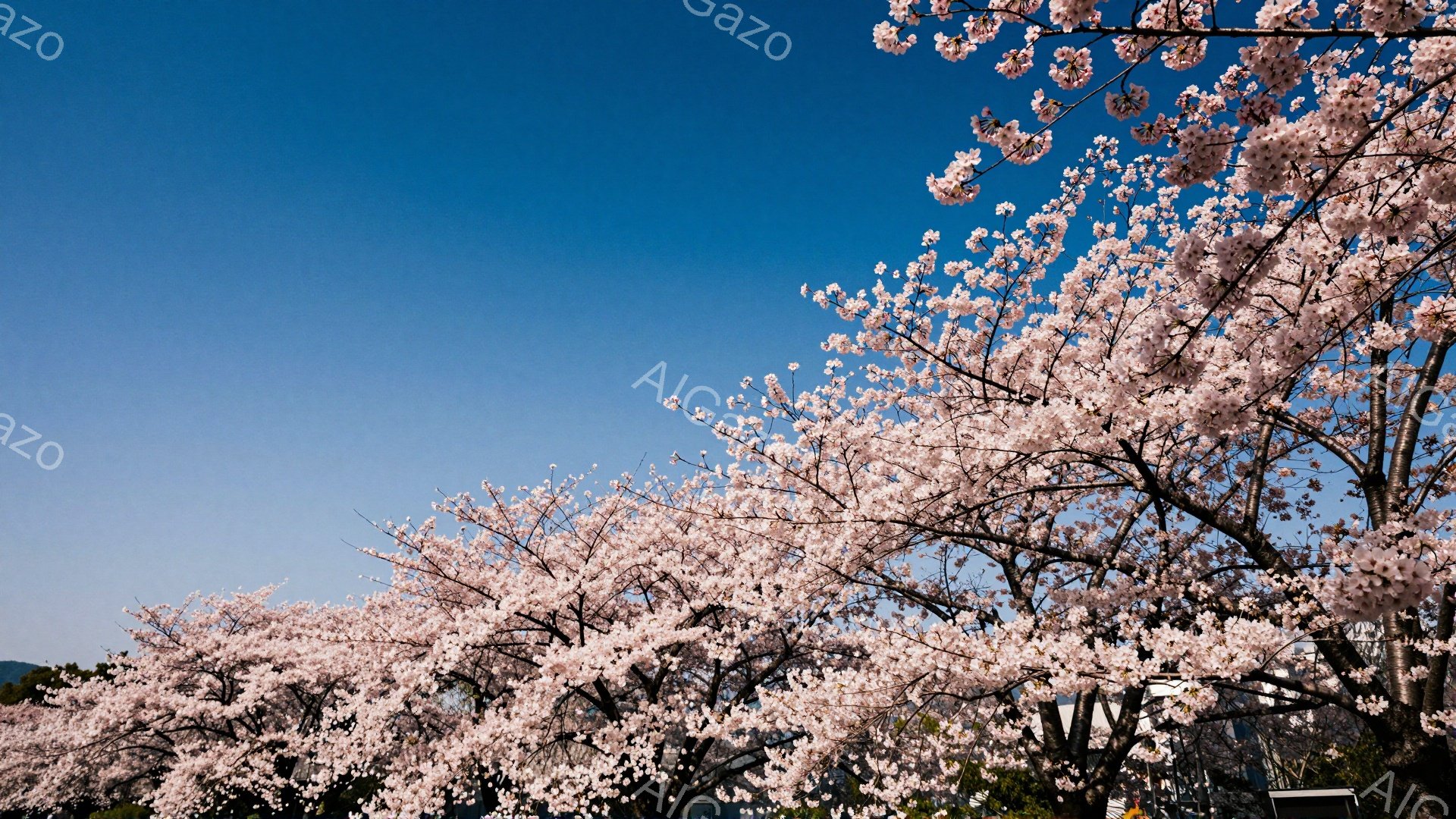 満開の桜が空を覆い尽くし、春の訪れを感じさせる風景です。 桜の淡いピンク色が青空とコントラストをなし、非常に美しいです。 下には建物が見え、自然と都市が調和した穏やかな雰囲気が漂っています。 - AI生成フリー素材