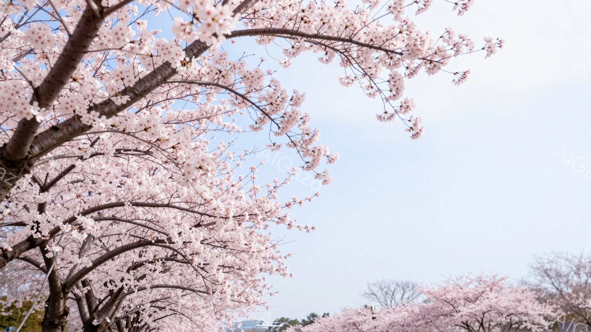 桜の花が満開の枝が画面を埋め尽くし、淡いピンク色が春の訪れを感じさせます。背景には、ぼんやりと建物や緑が見え、穏やかな晴天の下で、桜の美しさが際立っています。全体的に、優雅で平和な雰囲気が漂い、春の喜びを表現しています。