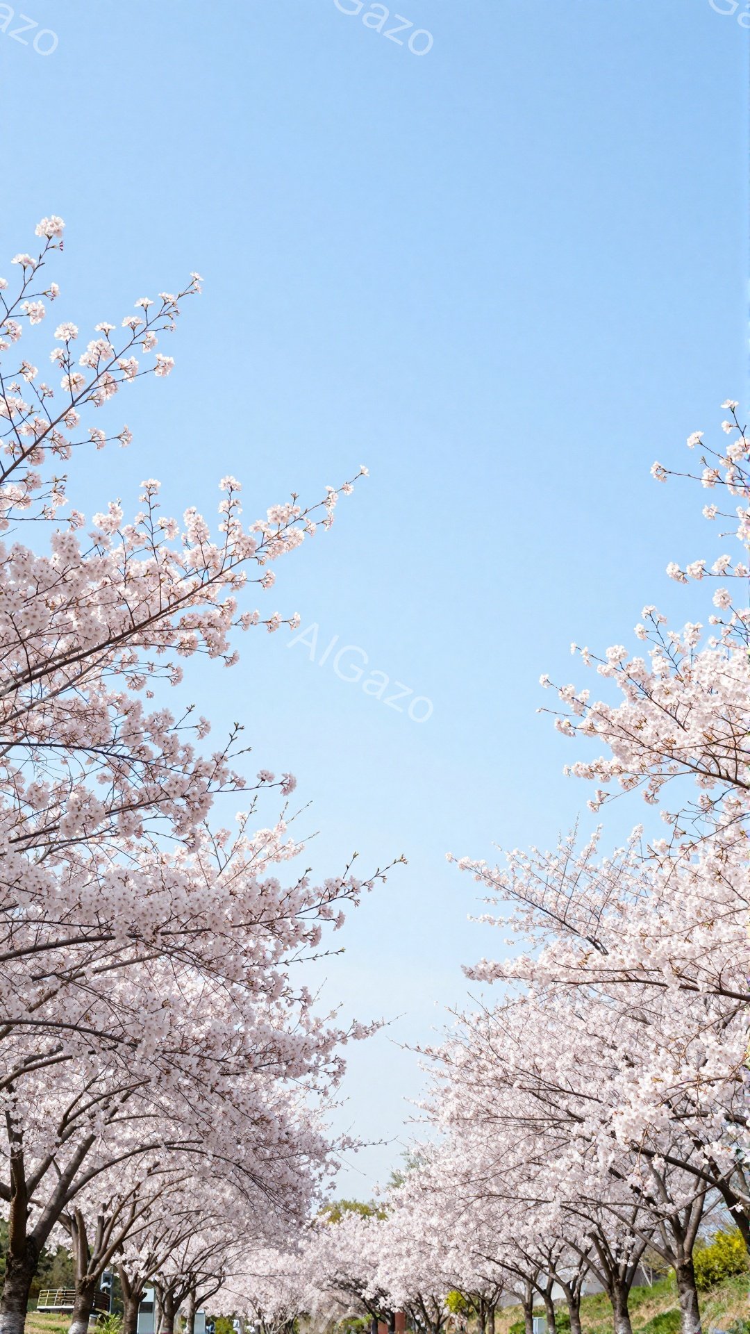 桜並木が続く道を行く人々の姿が捉えられている。人々はそれぞれカジュアルな服装で、桜並木の下をゆっくりと歩いている様子が伺える。空は晴れ渡り、桜の花びらが舞い散る春の穏やかな雰囲気が伝わってくる。