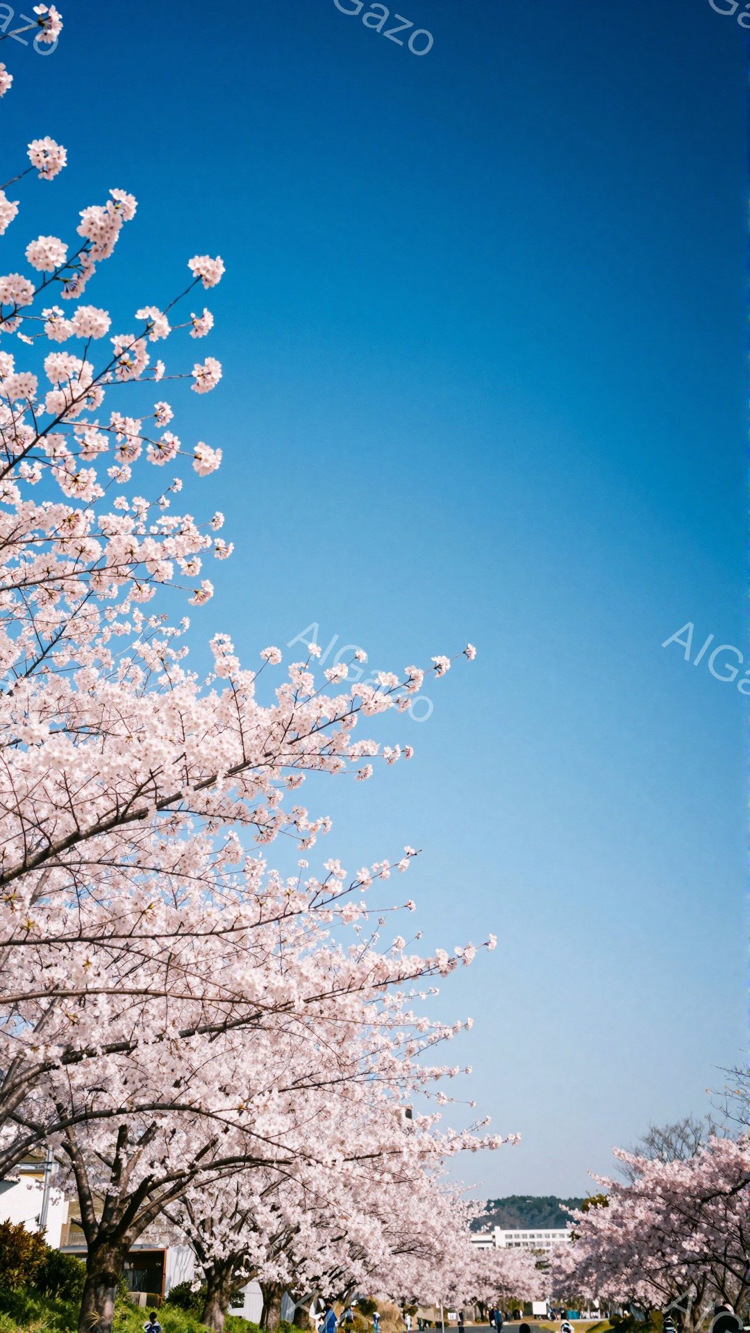 鮮やかな青空の下、桜が満開の美しい風景です。桜並木の下には人々が歩き、その姿は小さく見えます。背景には建物が見え、春の暖かさと穏やかな雰囲気が伝わってきます。