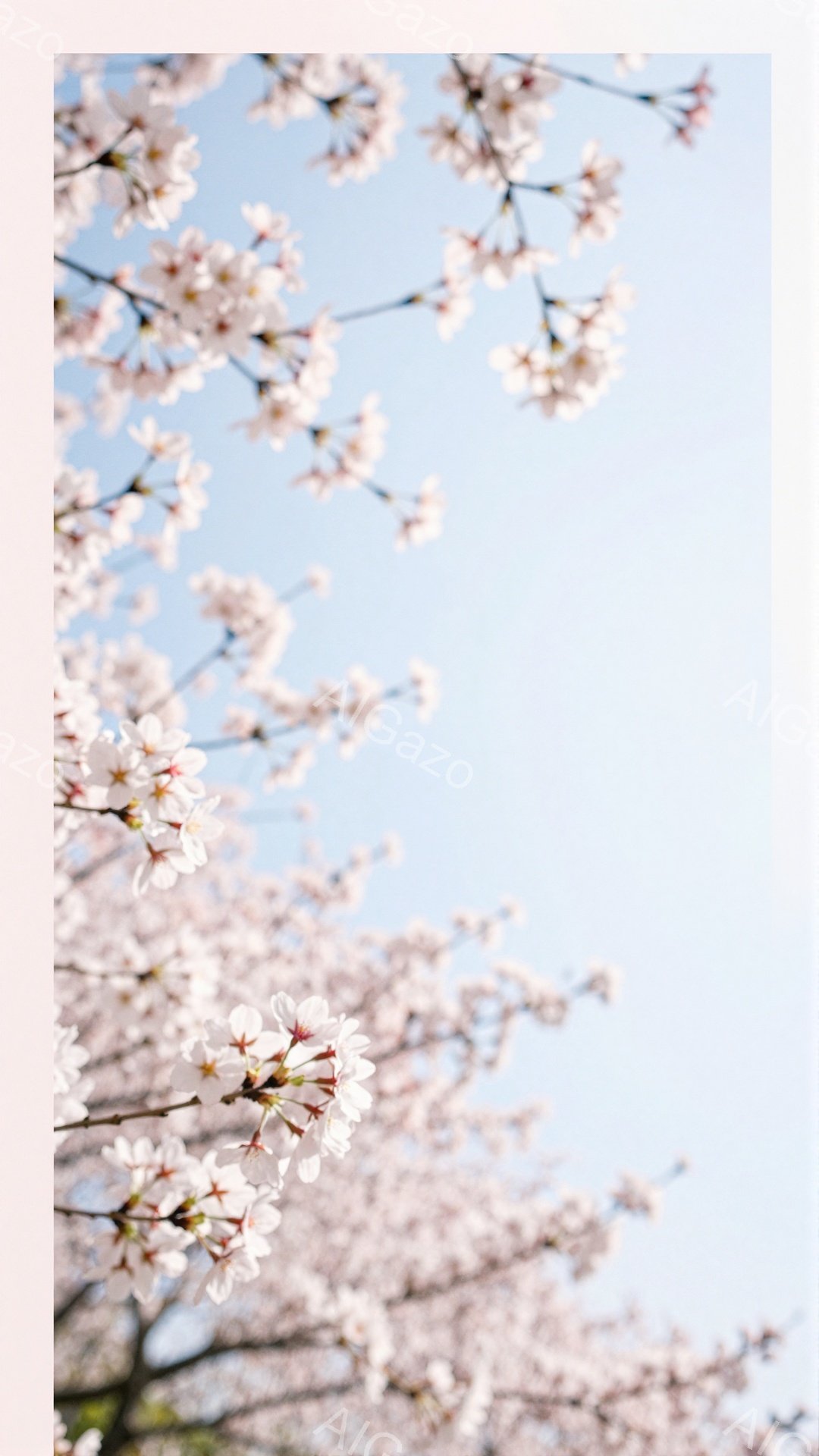 桜の花が咲き誇り、空を背景に美しいコントラストを描いています。薄いピンク色の花びらが密集し、春の暖かさと優雅さを感じさせます。青空に浮かぶ桜は、穏やかで希望に満ちた雰囲気を醸し出しています。