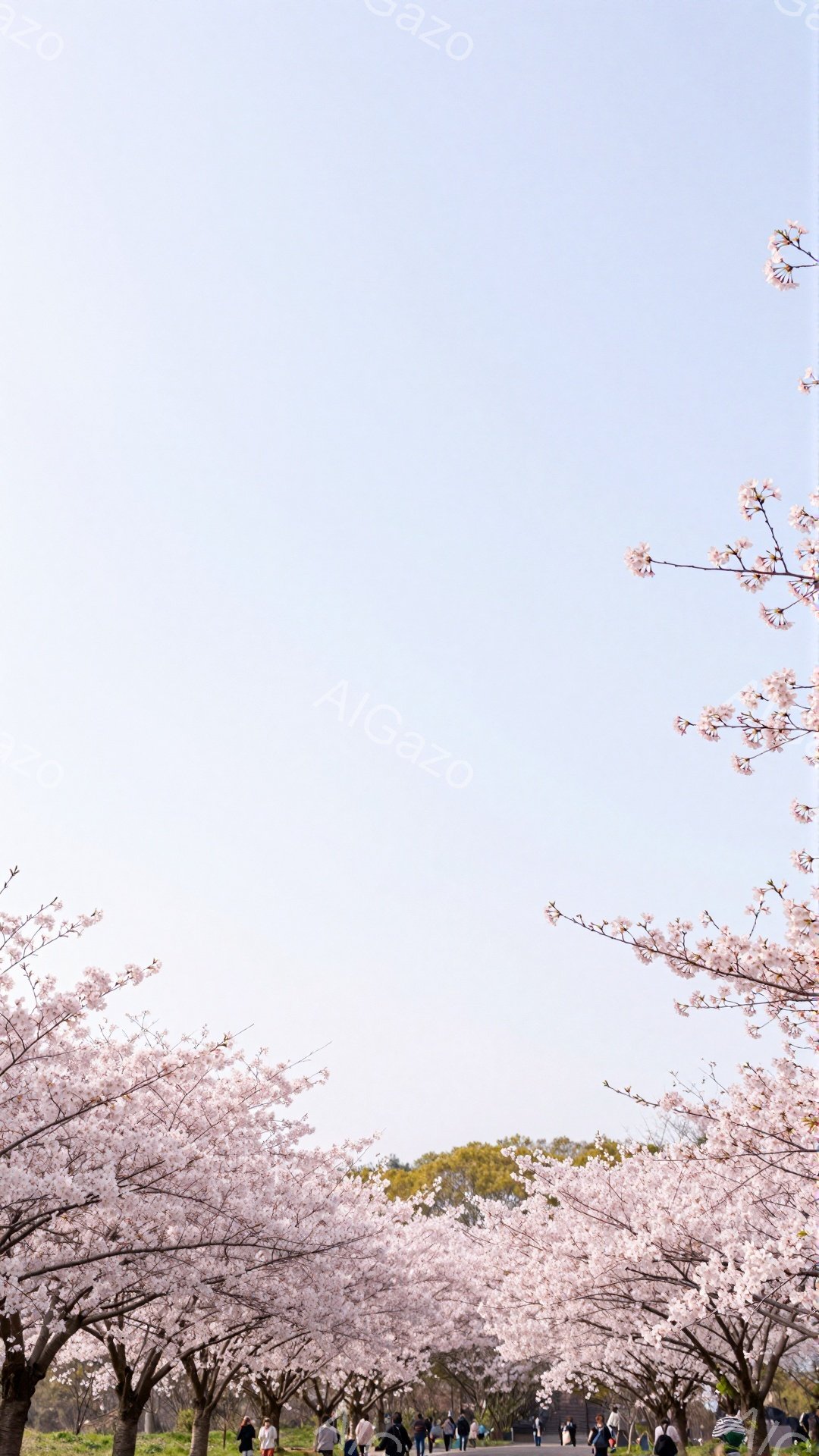 桜並木の中を多くの人々が歩いている様子が写っている。人々はカジュアルな服装で、桜の美しさを楽しんでいるようだ。背景には緑の草地と青空が広がり、春の穏やかな雰囲気が漂っている。
