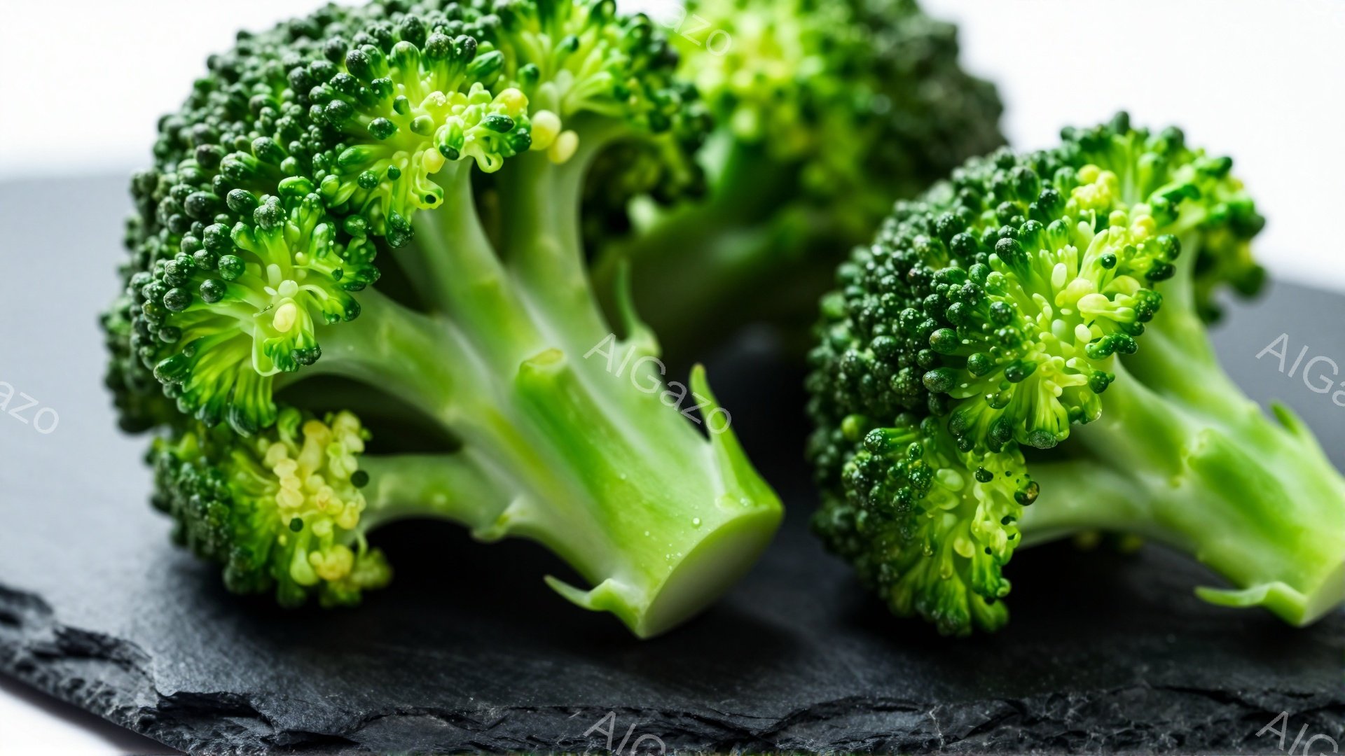 鮮やかな緑色のブロッコリーが2房、黒色のスレートのような板の上に置かれています。ブロッコリーは瑞々しく、表面に水滴が見られ、まるで収穫されたばかりのように見えます。背景は暗く、ブロッコリーの鮮やかな色 - AI生成フリー素材