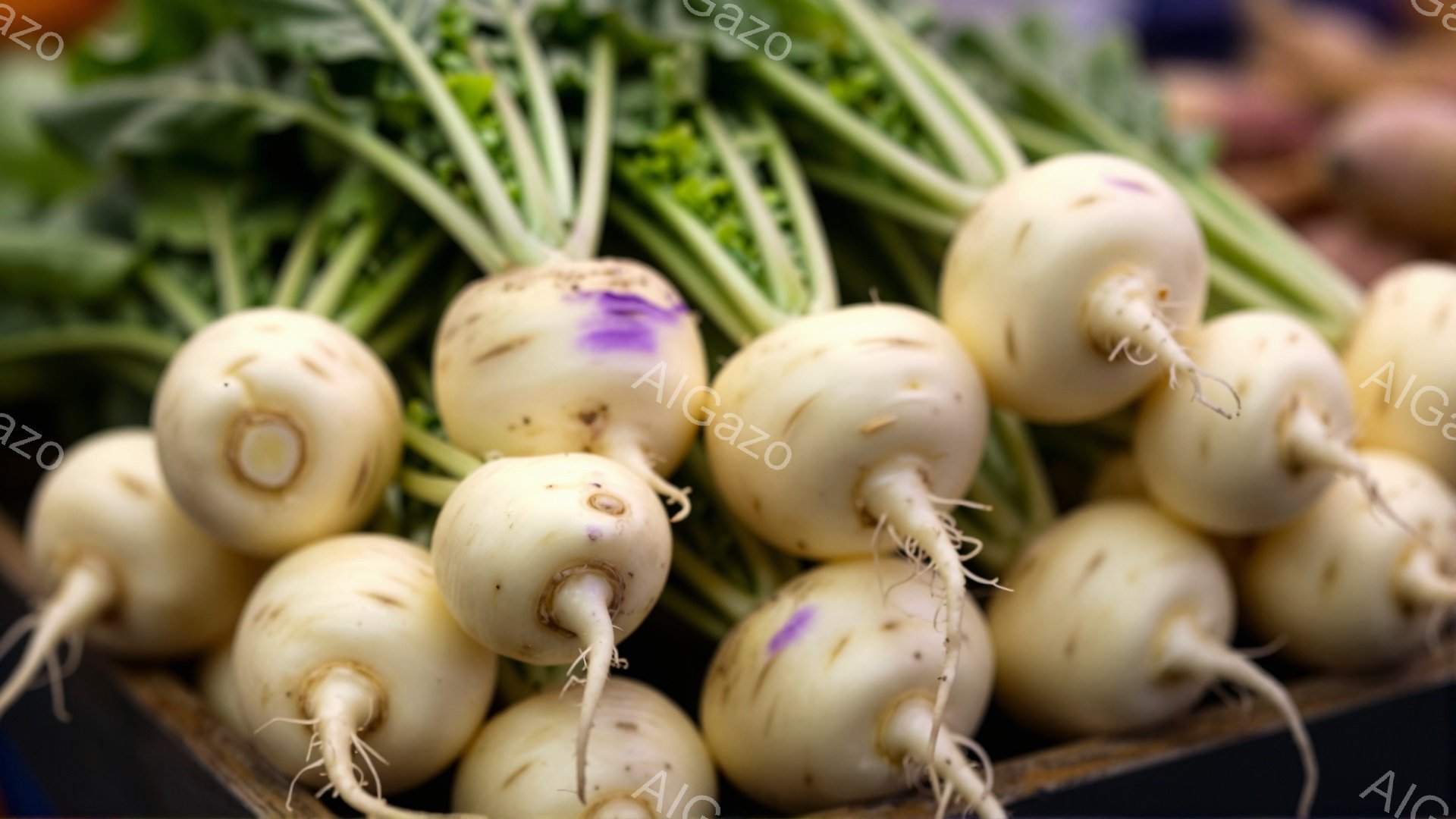 白くて丸い大根が密集して写っており、それぞれに紫色のラベルが付けられています。根元からは細い根が伸びており、緑色の葉が背景にわずかに見えます。全体的に新鮮で活気のある市場の雰囲気が伝わってきます。