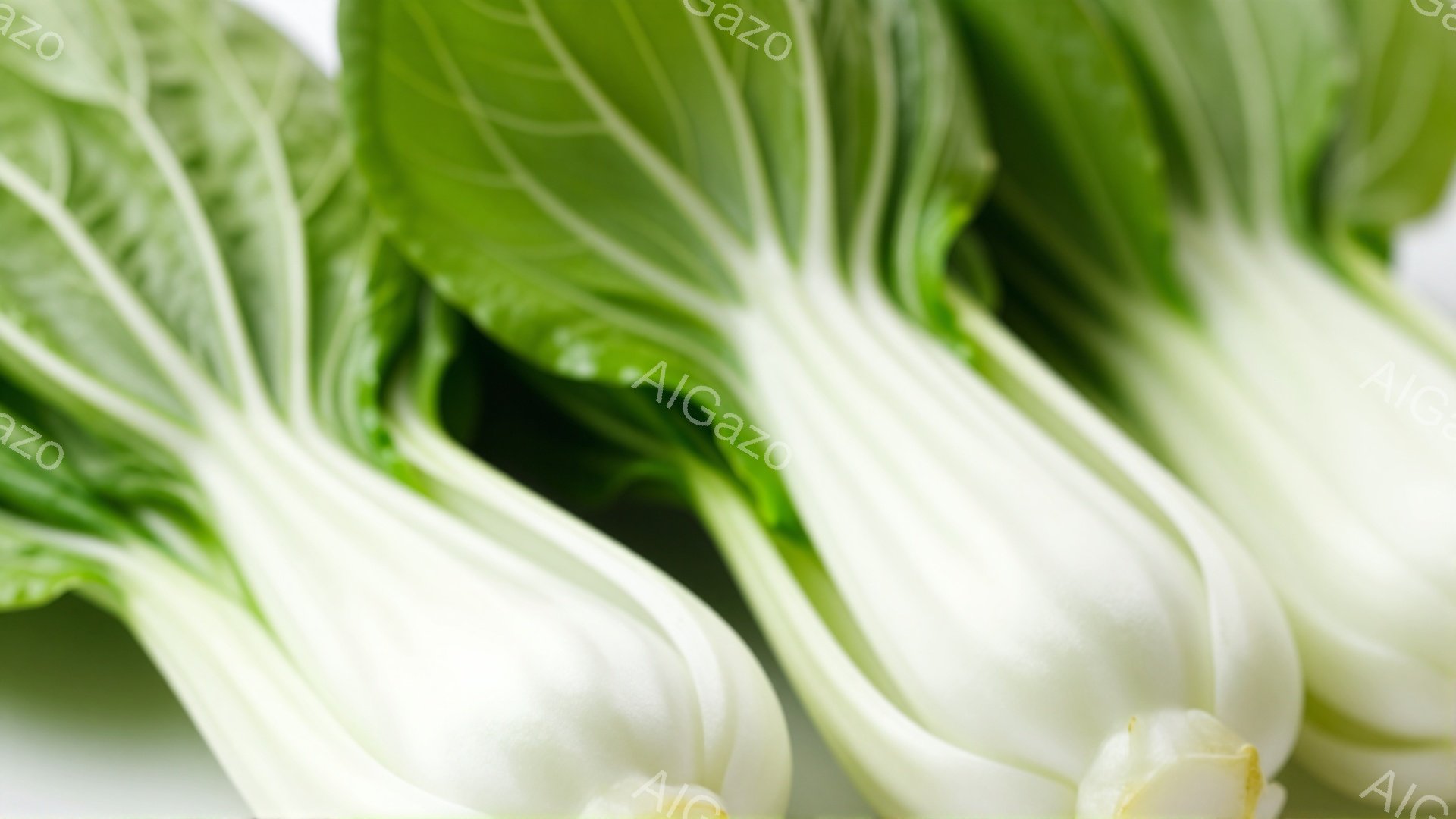 白菜が三本、対角線状に並べられています。葉は鮮やかな緑色で、根元に向かって白く変化しています。背景は白く、白菜の緑色が際立っています。