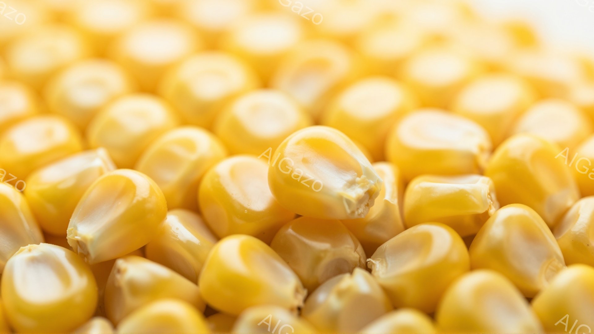 画像全体は、鮮やかな黄色のトウモロコシの粒が密に詰まったクローズアップショットです。粒は均一な形をしており、表面にはわずかな光沢があり、新鮮さを感じさせます。背景はぼやけており、トウモロコシの粒が主役となり、豊穣で活気のある雰囲気を醸し出しています。