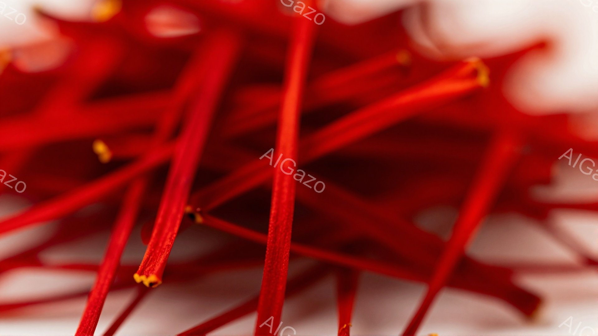 鮮やかな赤い糸のようなものが密集して写っており、先端には金色の小さな粒が付いている。背景はぼやけており、糸の質感と色彩が際立っている。 全体的に、自然の繊細な美しさを捉えた、抽象的なイメージである。