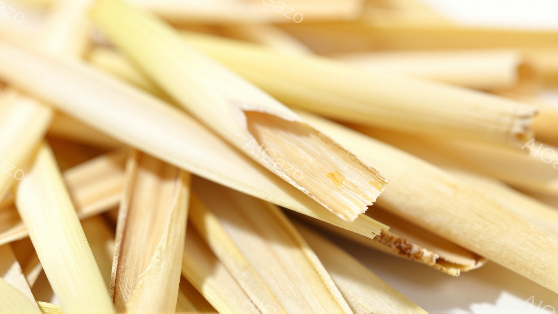 鮮やかな黄色のストローが密集して写っています。ストローは少し不揃いで、一部にわずかな傷や凹みが見られます。背景は白く、ストローの鮮やかな色が際立っています。