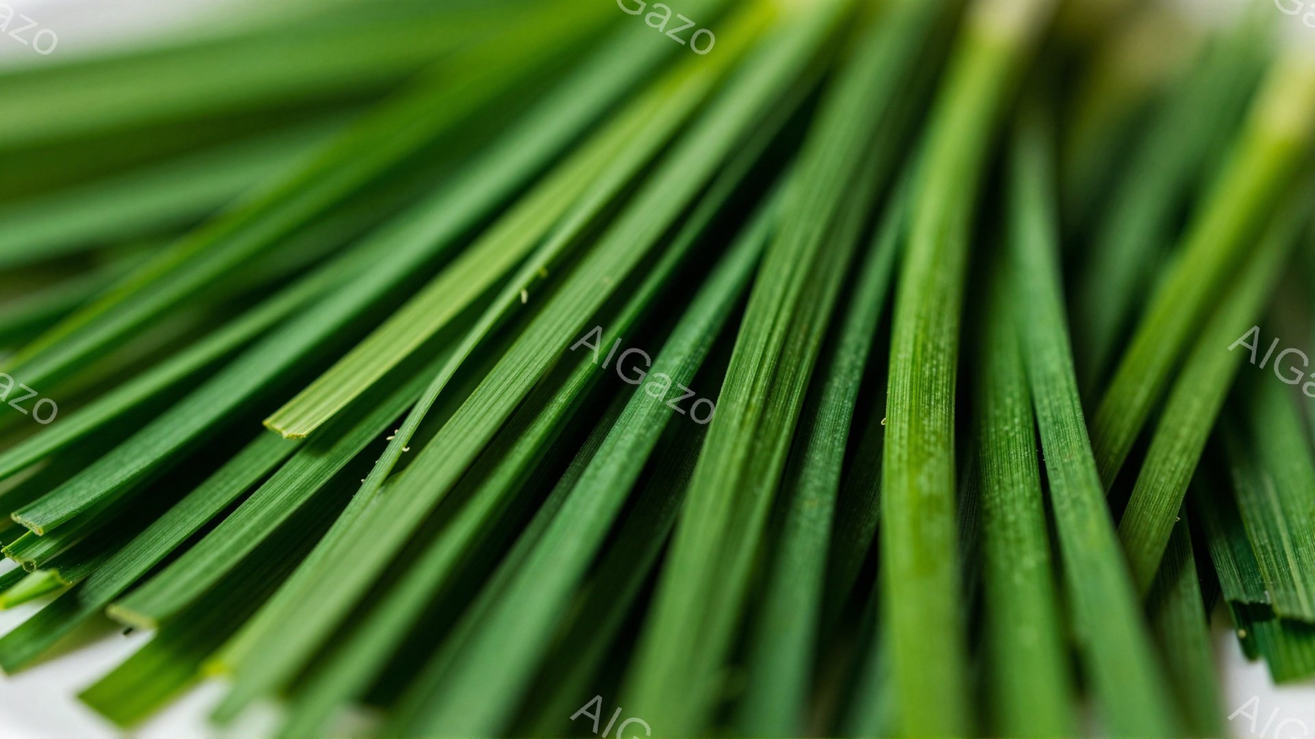 鮮やかな緑色の細長い葉が、画面全体を占めるように斜めに並んでいる。葉は均一な幅を持ち、わずかに光沢があり、生き生きとした印象を与える。背景は白くぼやけており、葉の鮮やかさを際立たせ、自然の生命力を感じさせる。