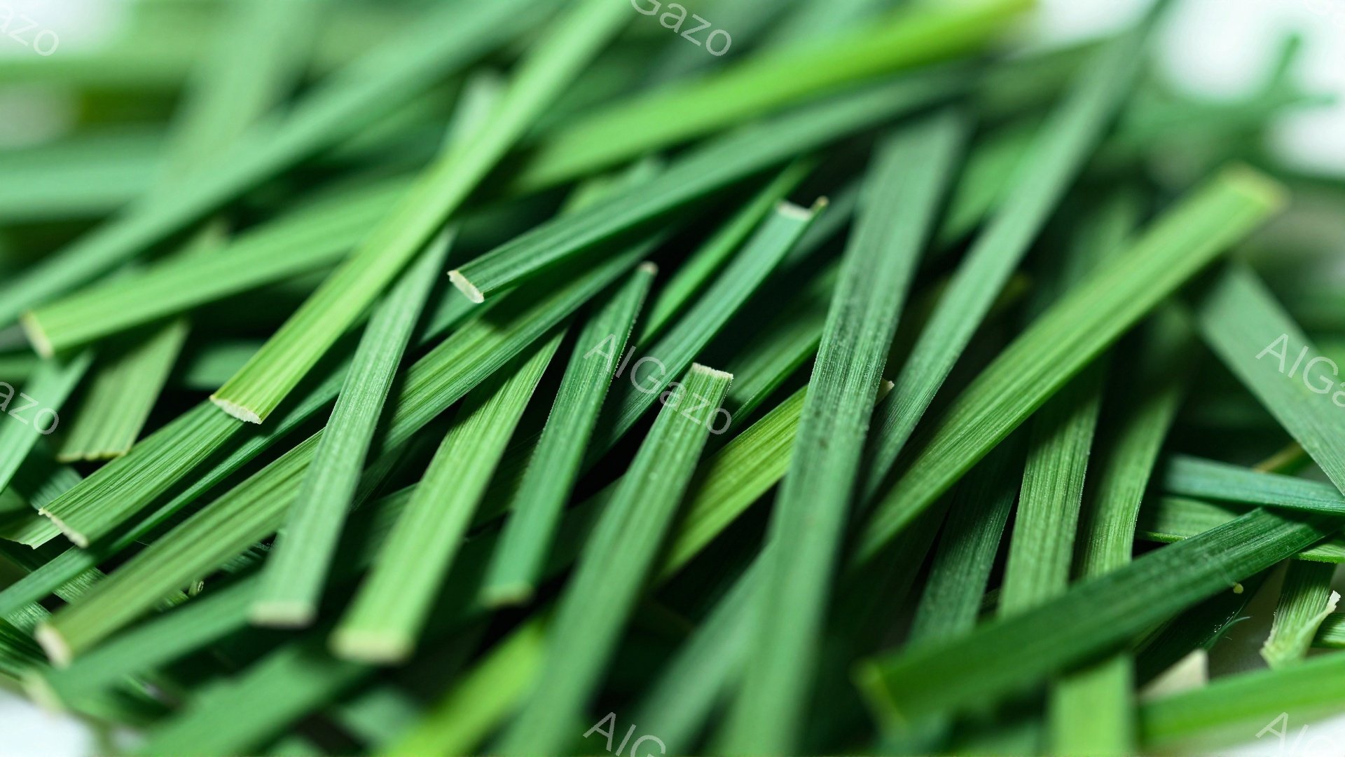 鮮やかな緑色の細長い食材が密集して写っている。それらはネギやニラなどの葉物野菜のようであり、切って調理される前の状態を思わせる。背景は白くぼやけており、食材そのものが主な焦点となっている。