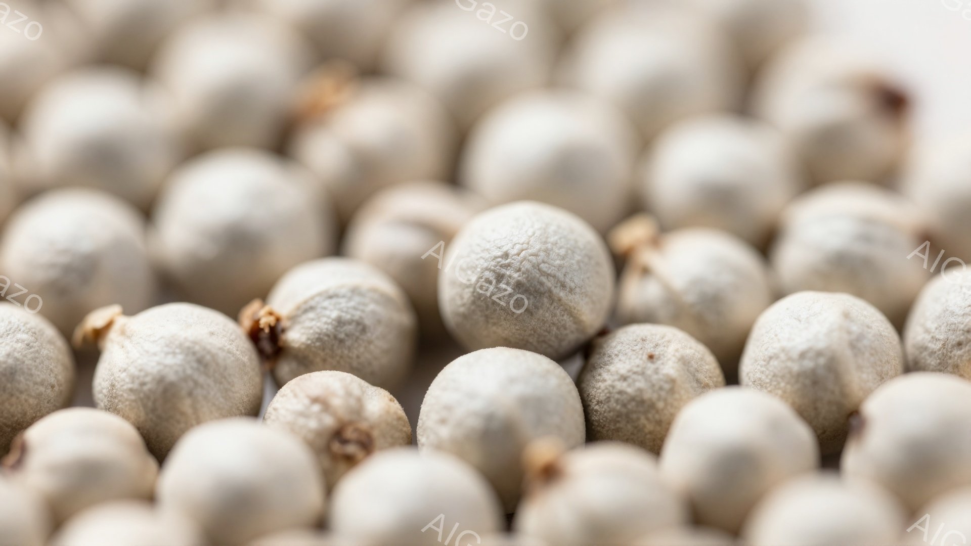 画像は、白胡椒の粒が密集して写っています。粒は丸みを帯びており、表面には細かいシワや凹凸が見られます。全体的に暖色系のトーンで、単調ながらもテクスチャが際立つ、落ち着いた印象の写真です。