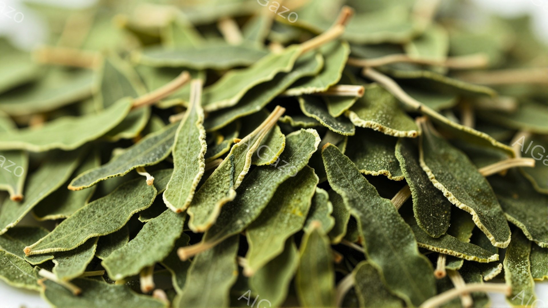 画像は乾燥した緑色のハーブの葉が密集して積み重なっている様子を捉えています。葉は細長く、表面にはわずかなシワがあり、乾燥によって色がくすんでいるのがわかります。背景は白く、葉の緑色が際立っており、ハーブの自然な質感と乾燥した状態を強調しています。