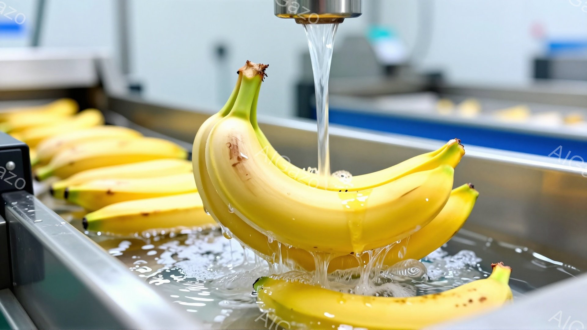 鮮やかな黄色のバナナがコンベアベルトの上で水洗いされています。水はバナナの表面を流れ落ち、周囲に水しぶきが飛び散っています。ステンレス製のベルトと背景のぼやけた環境は、食品加工または洗浄施設を示唆しています。