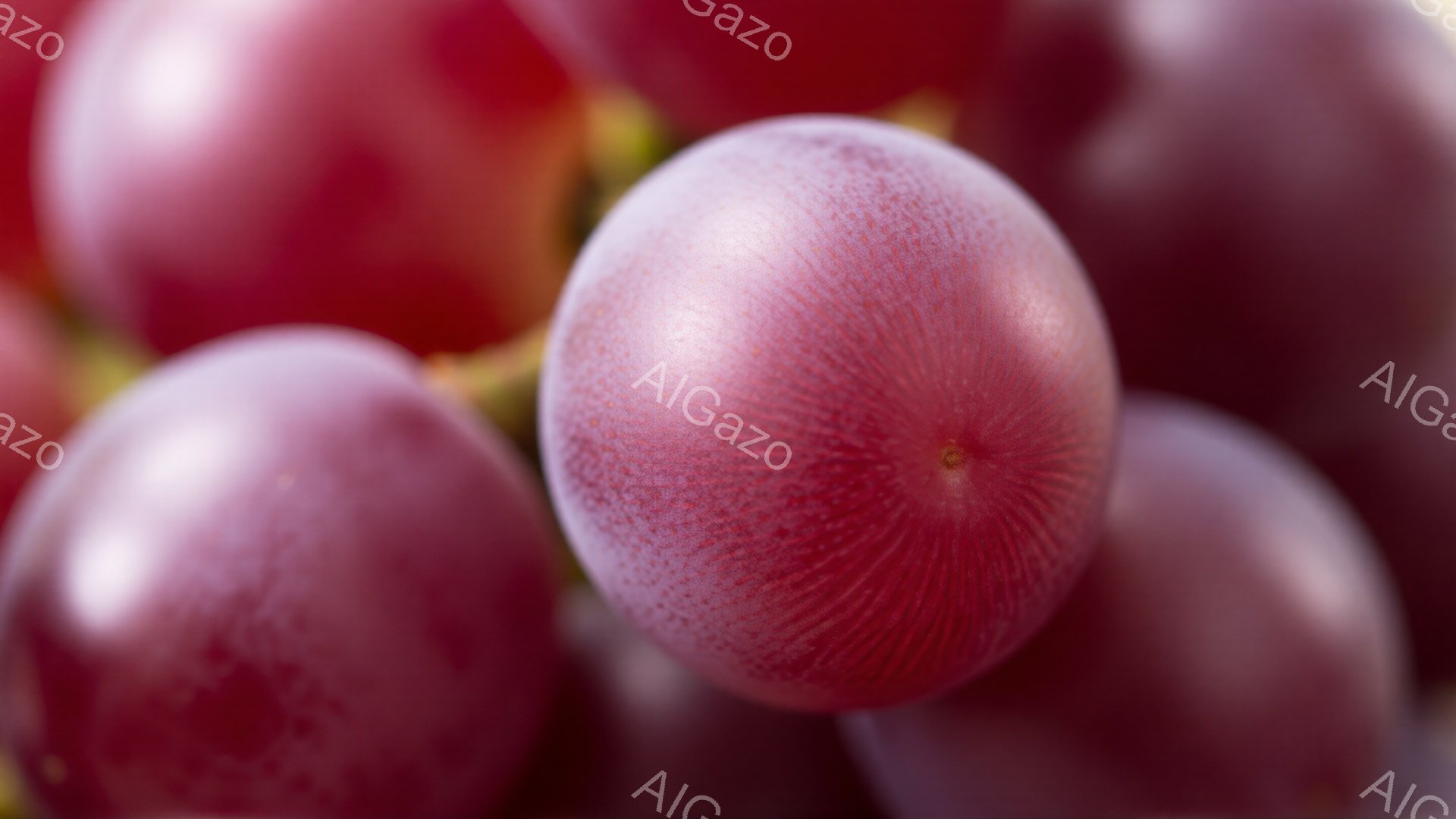 深い紫色のブドウが密集して写っており、まるで宝石のような光沢を放っています。焦点が合っているブドウは表面の細かいシワが強調され、瑞々しさを感じさせます。背景はぼやけており、ブドウの濃い紫色が際立っています。