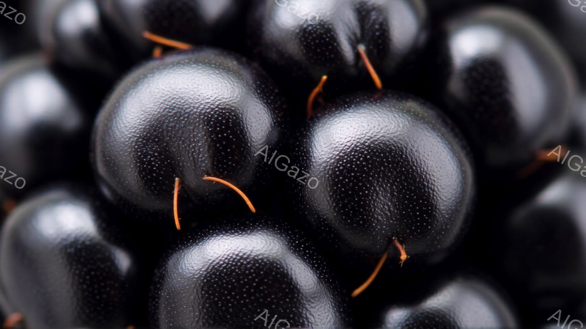 漆黒の小さな球体（おそらくブラックベリー）が密集して写っており、それぞれの表面には微細な凹凸が見られます。オレンジ色の細い糸状のものが球体から伸びており、果実の質感を強調しています。 全体的に暗い背景と果実のコントラストが、濃厚で深みのある雰囲気を醸し出しています。